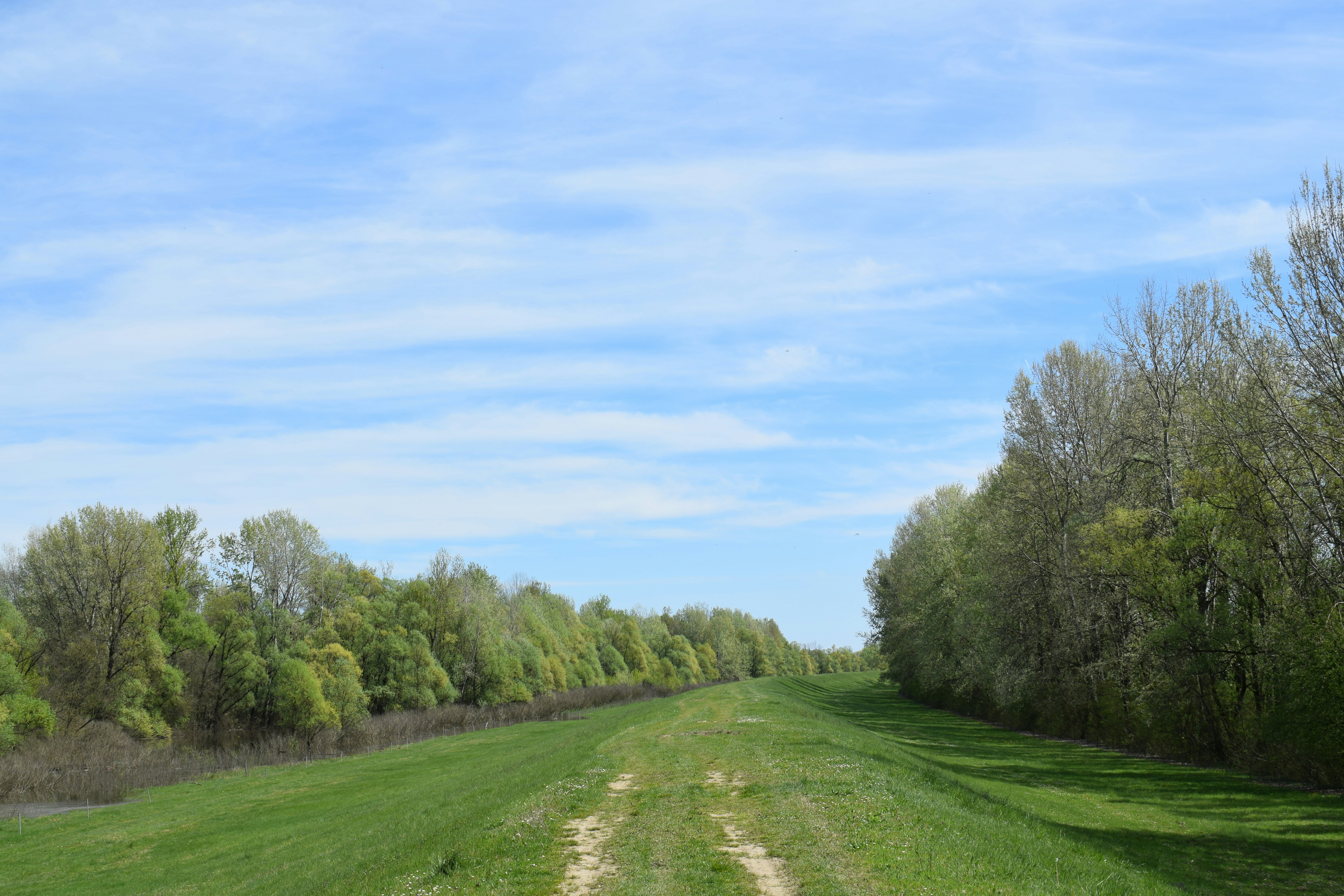 Photo by kristina001