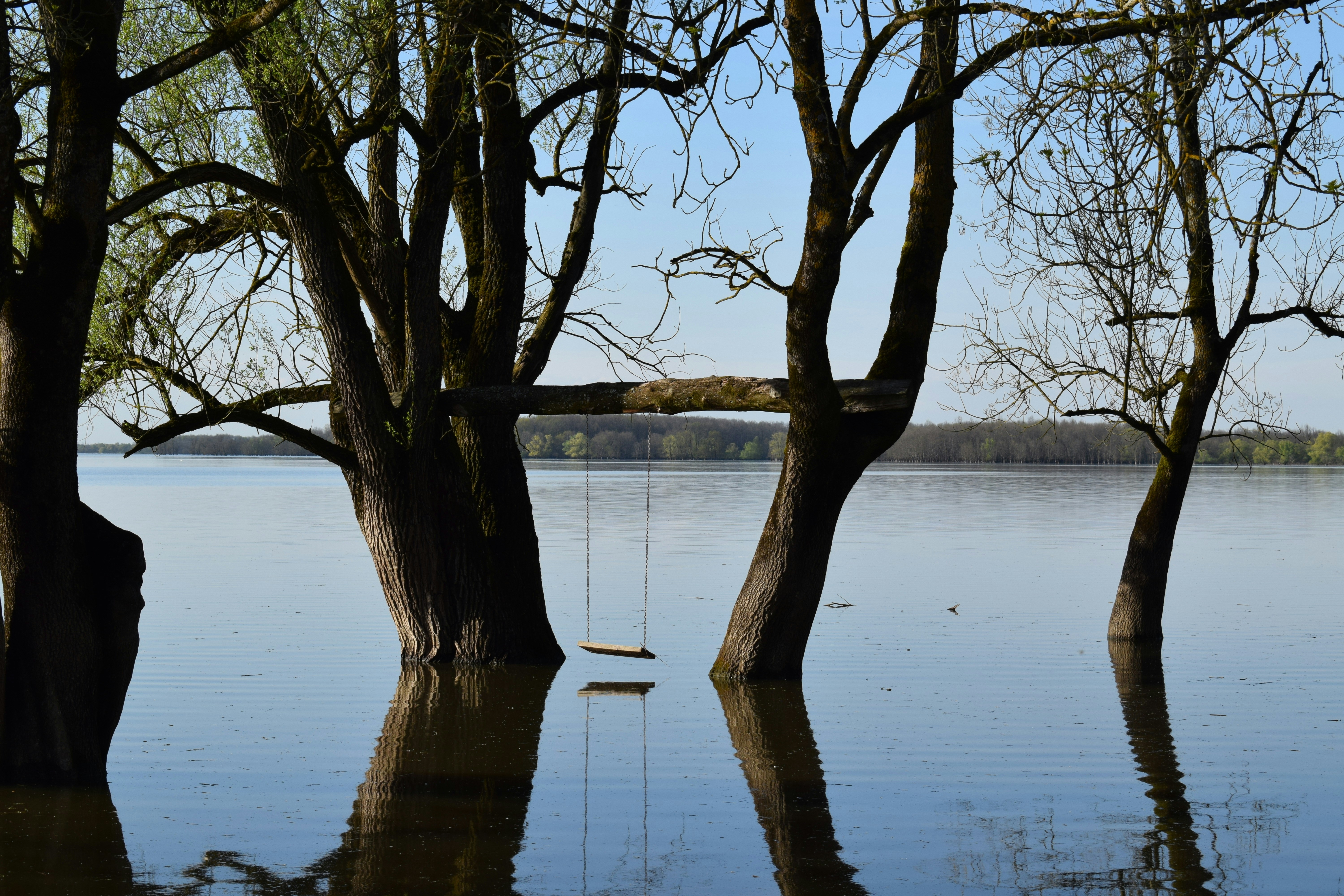 Photo by kristina001