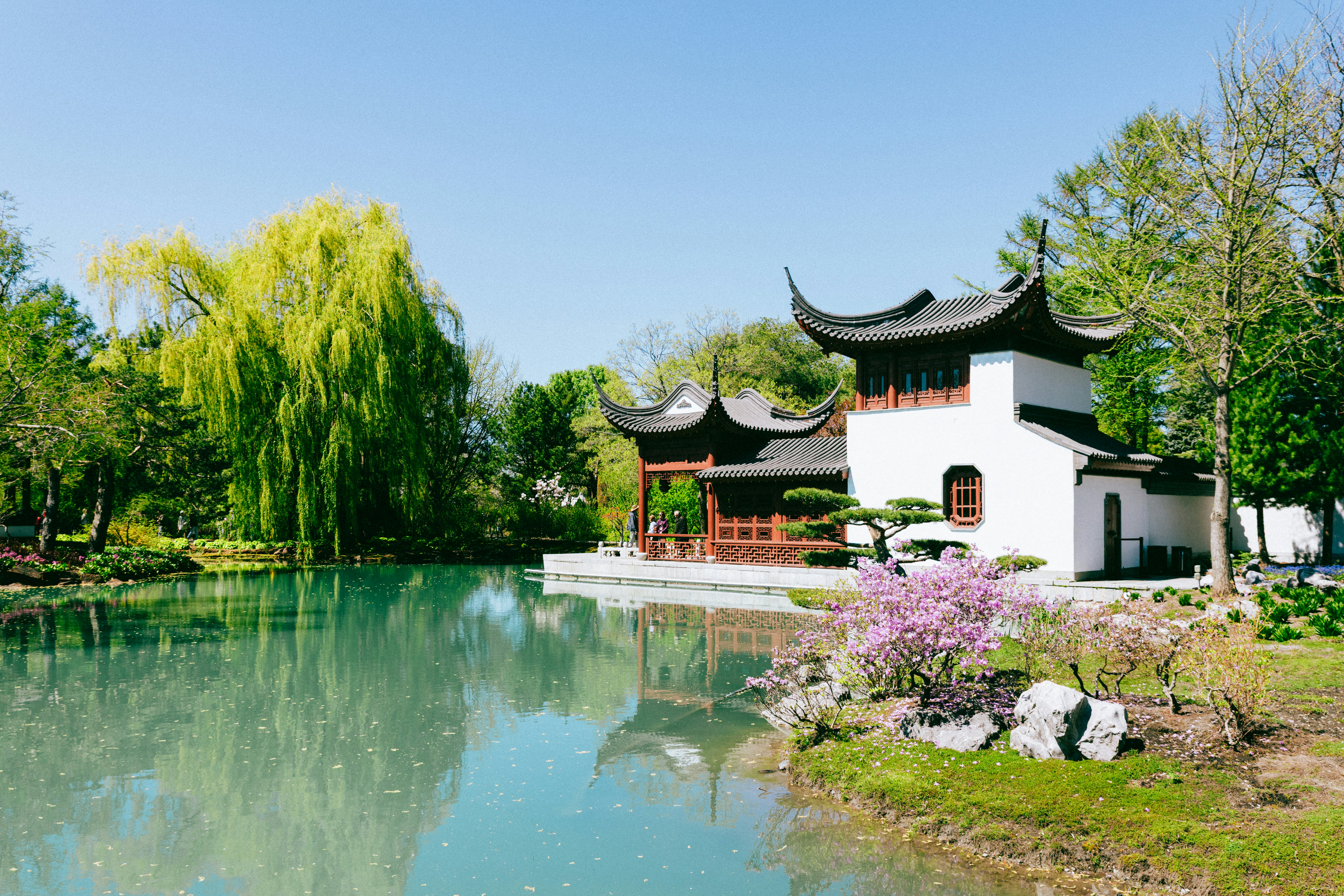 Tranquil garden with a pond and traditional chinese architecture.