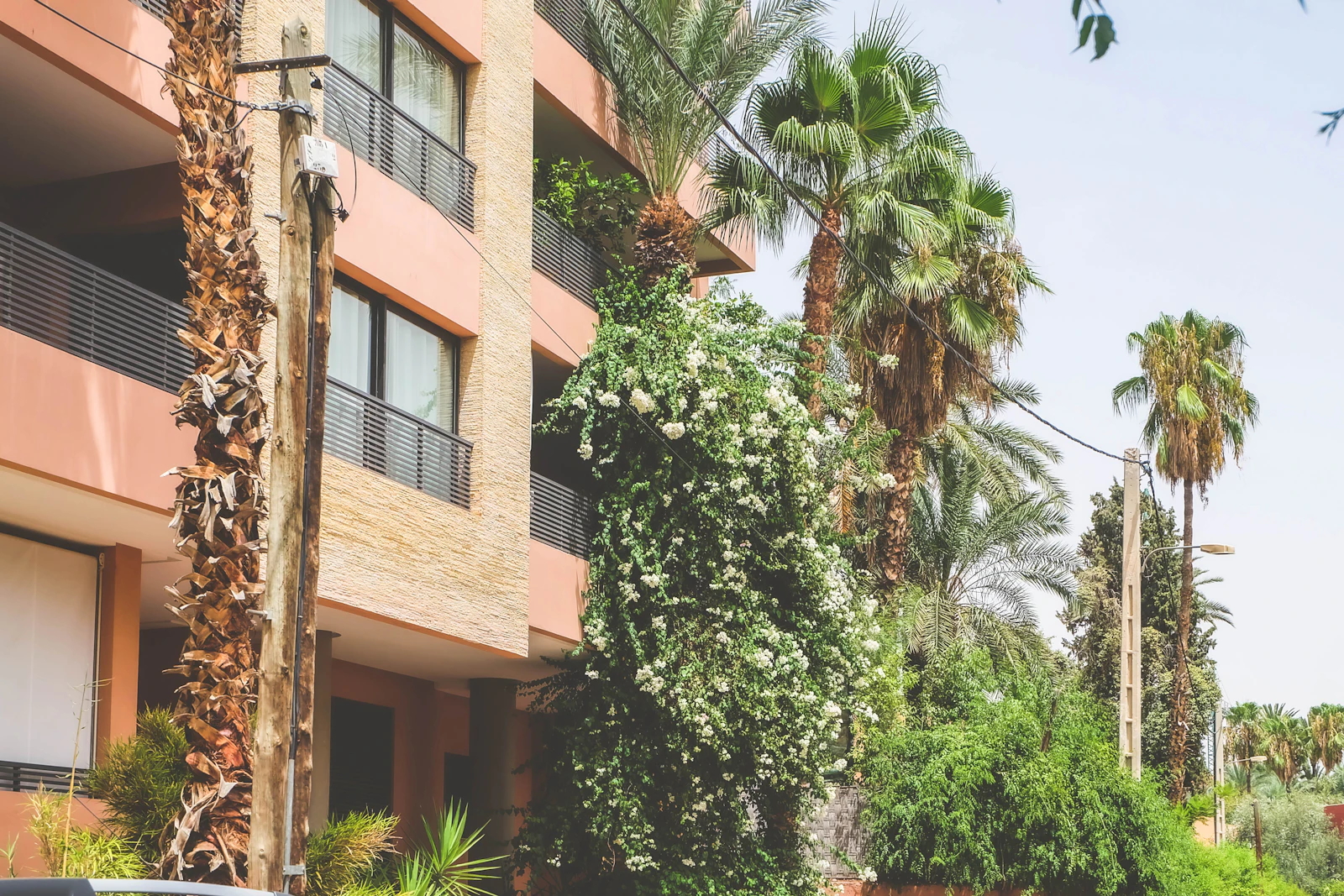 Immeuble résidentiel à balcons, palmiers et grimpantes en fleurs, à Marrakech