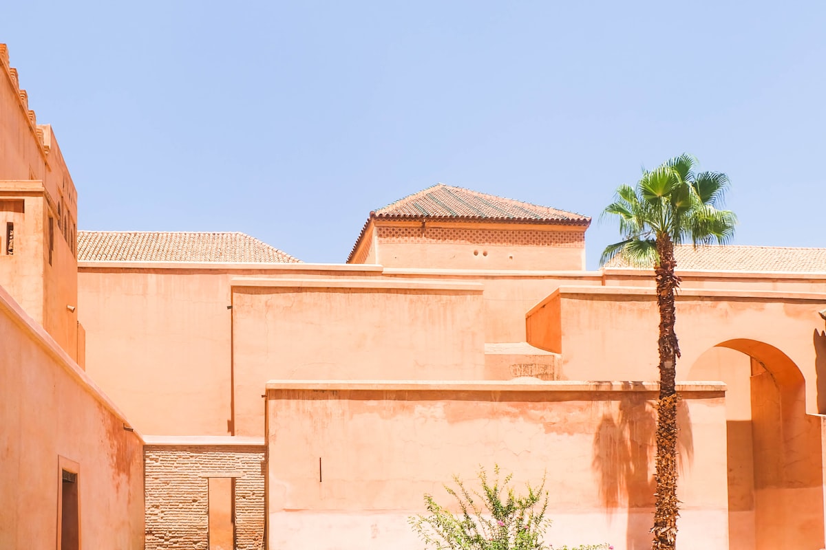 Murs ocre, palmier