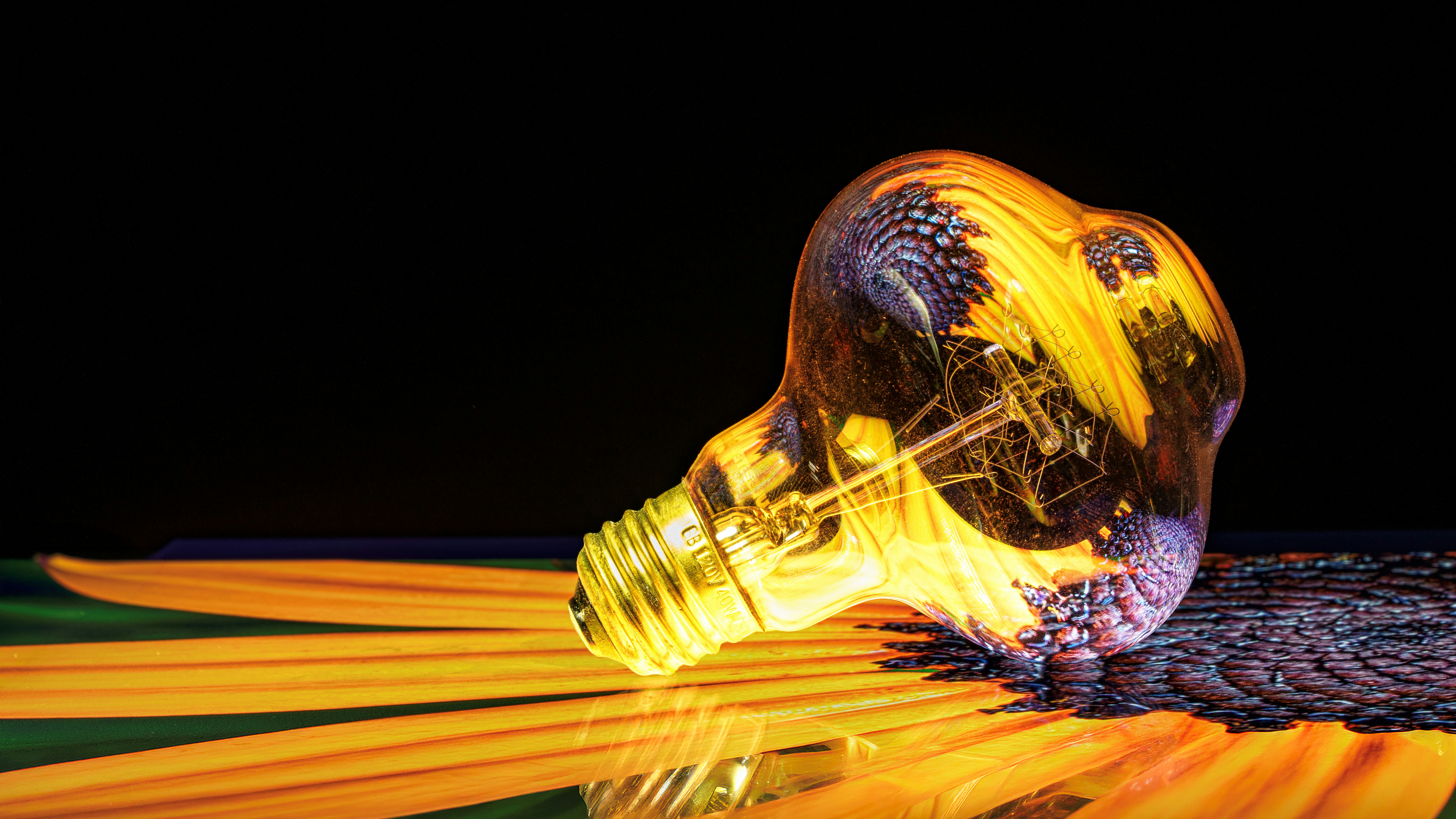 Ampoule remplie de fleurs jaunes sur des pétales de tournesol