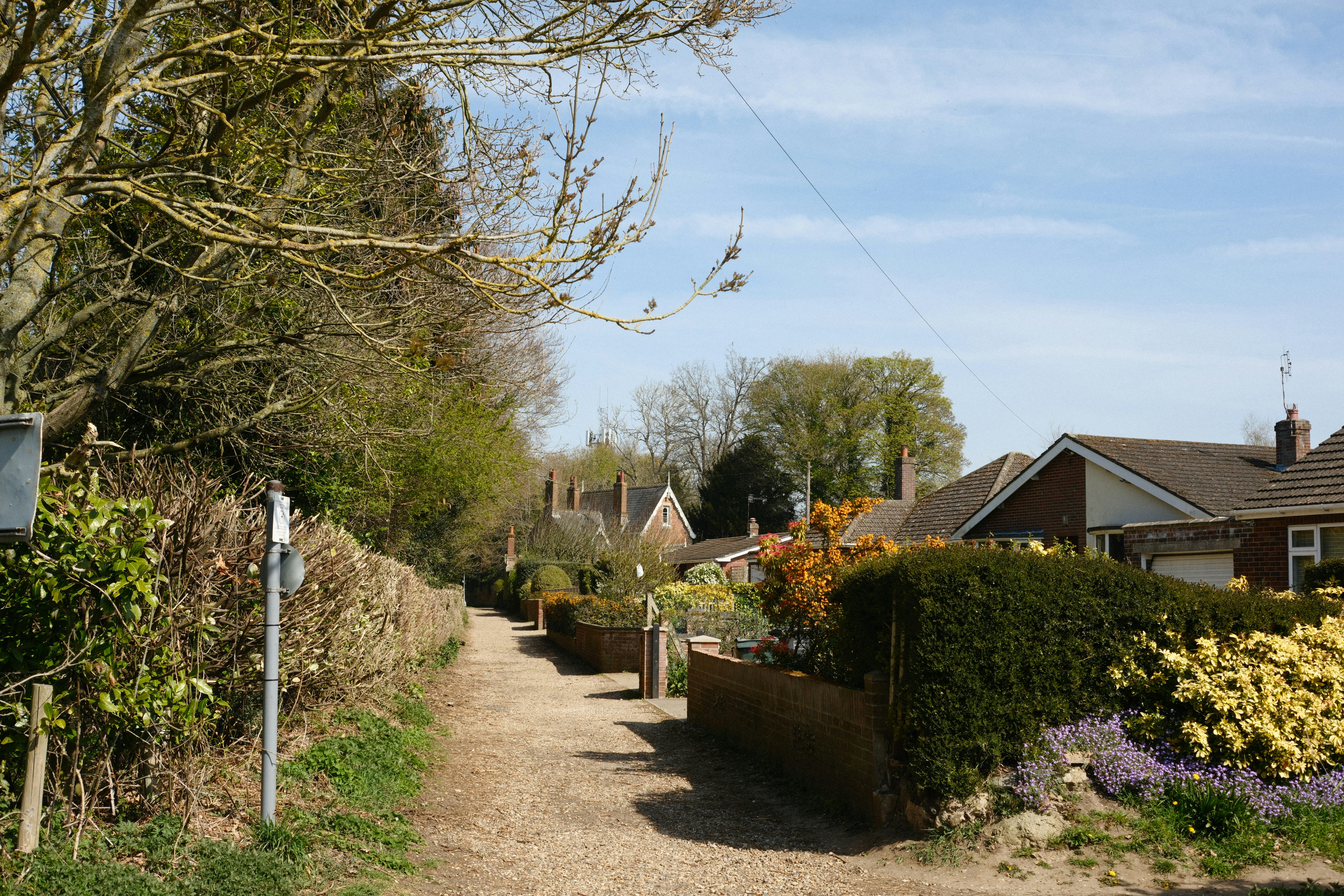 A dirt path winds through a suburban neighborhood with gardens.
