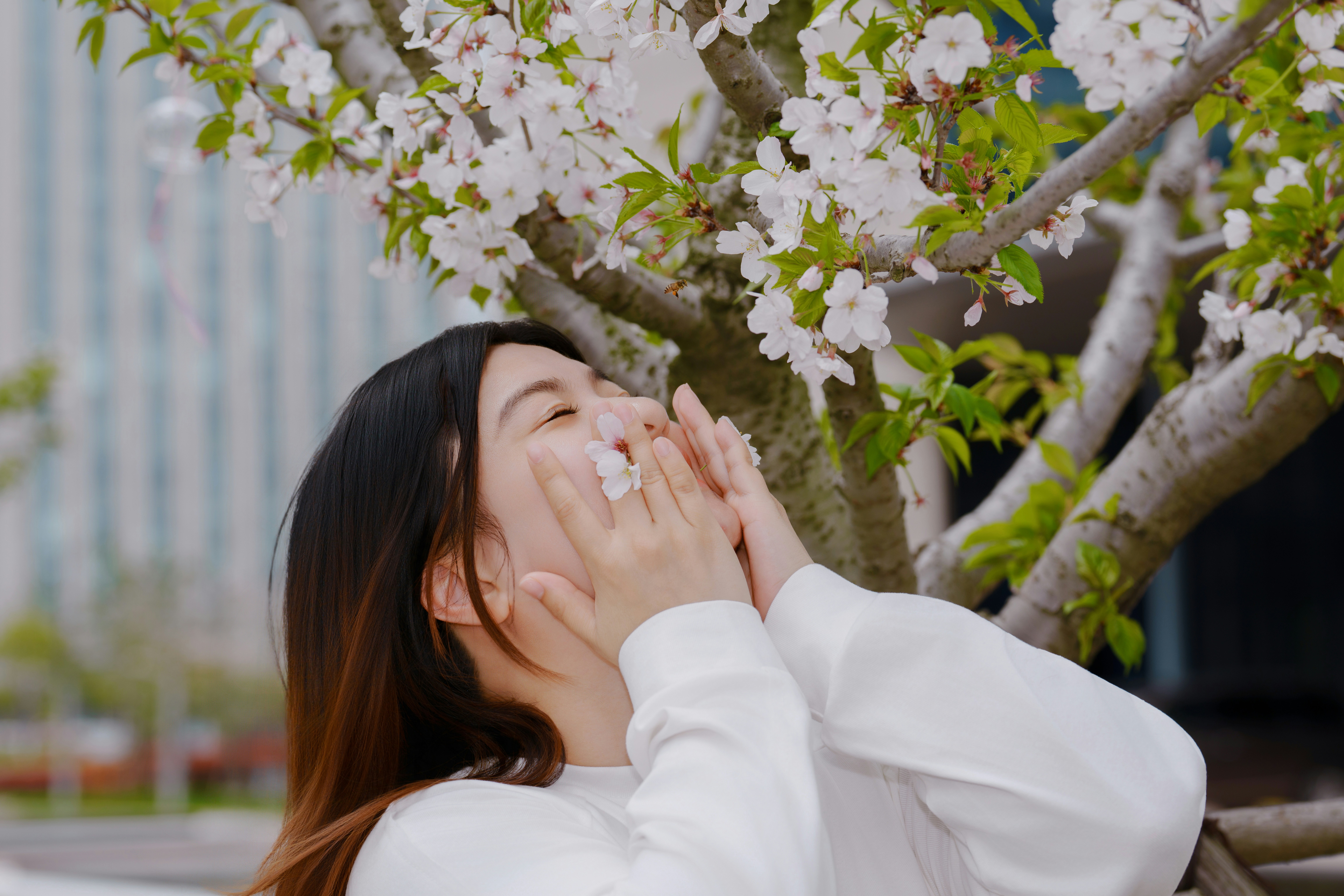 The Japanese Concept That Finally Made Me Stop Fighting My Own Face