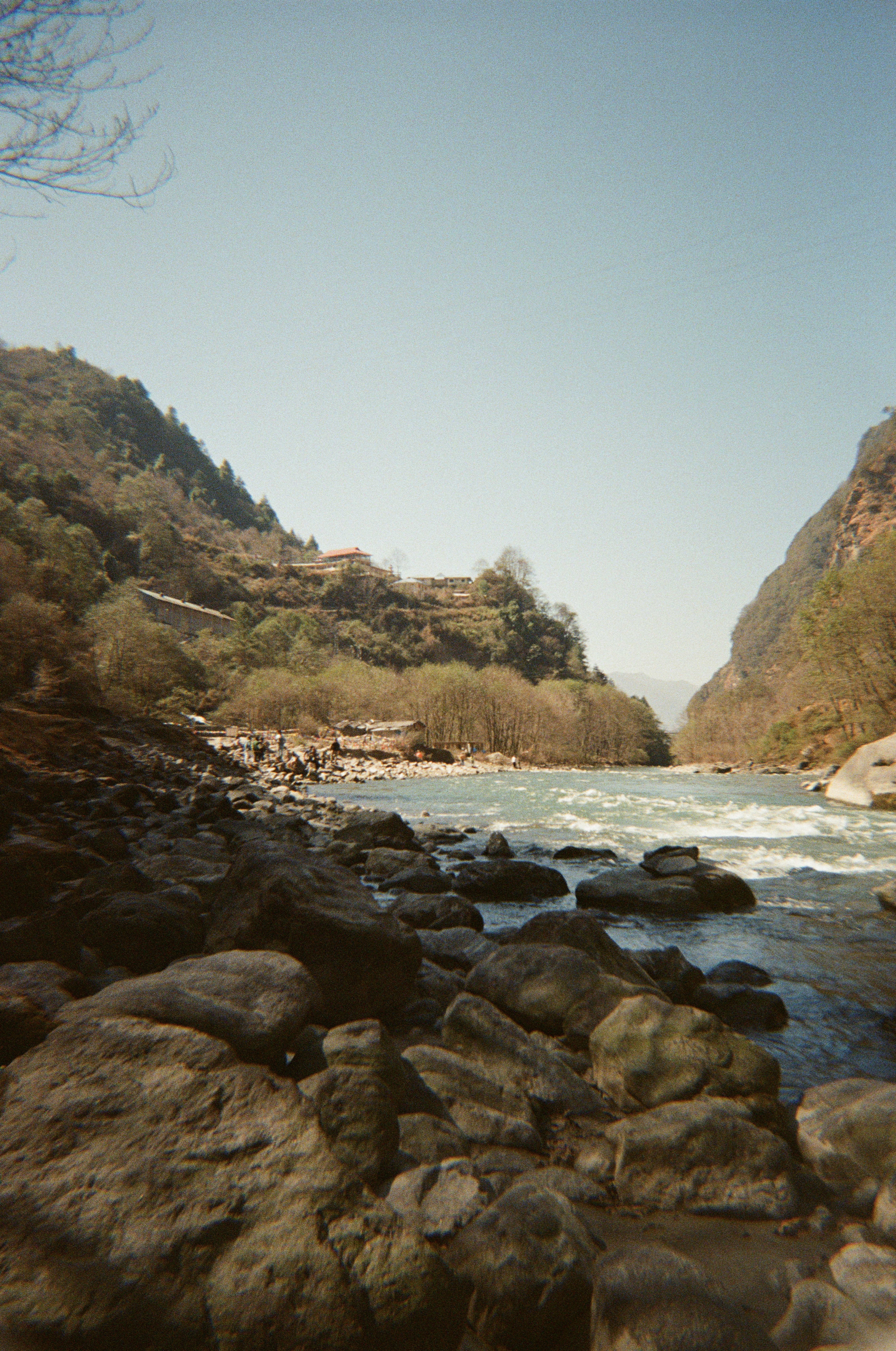 Rocky riverbank with mountains and trees under clear sky