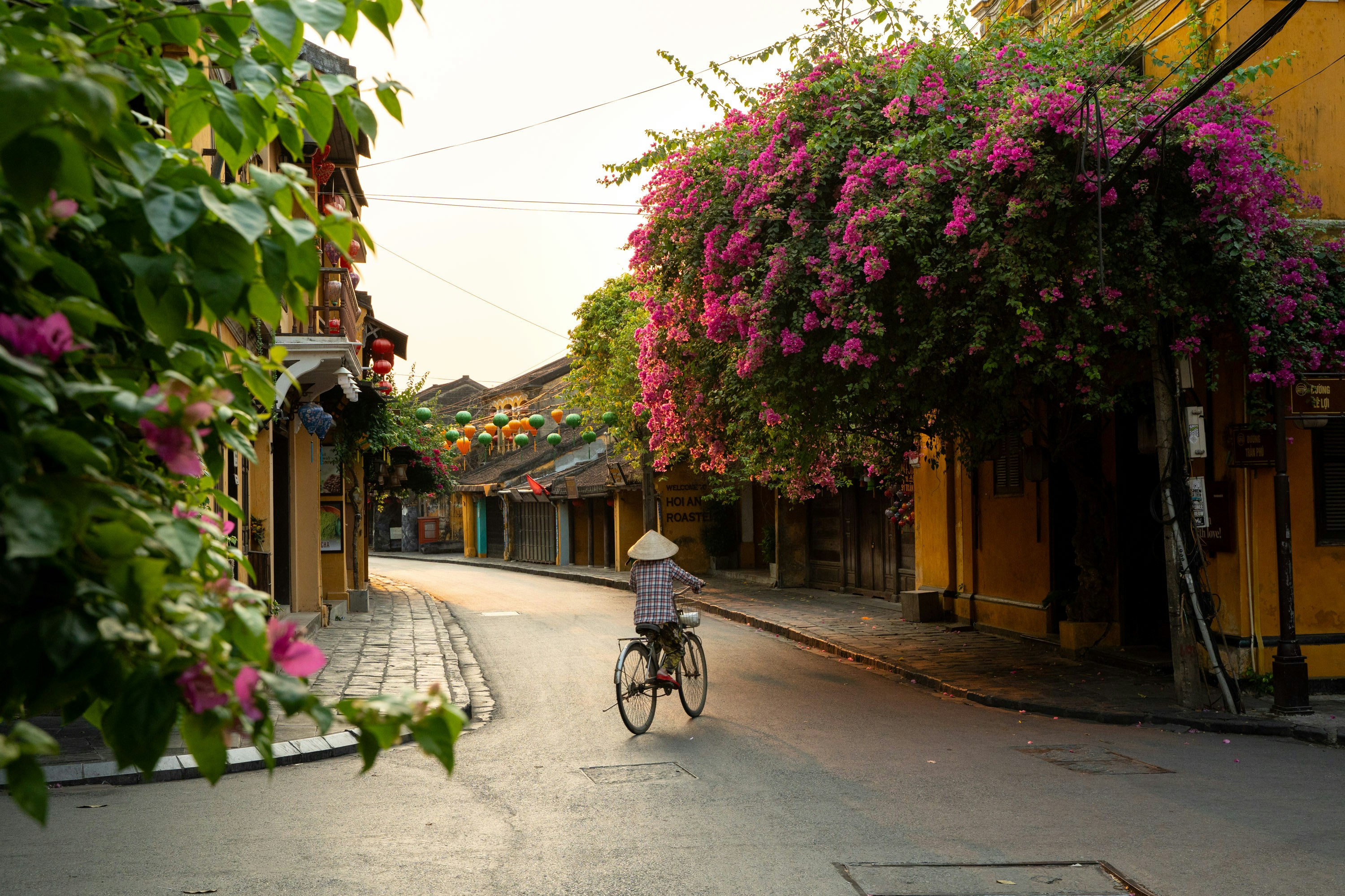 Person cycles down a street lined with flowers.