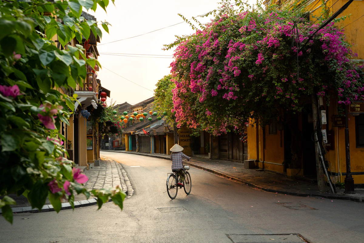 Emerald rice paddies and cycling paths in Cam Chau Hoi An