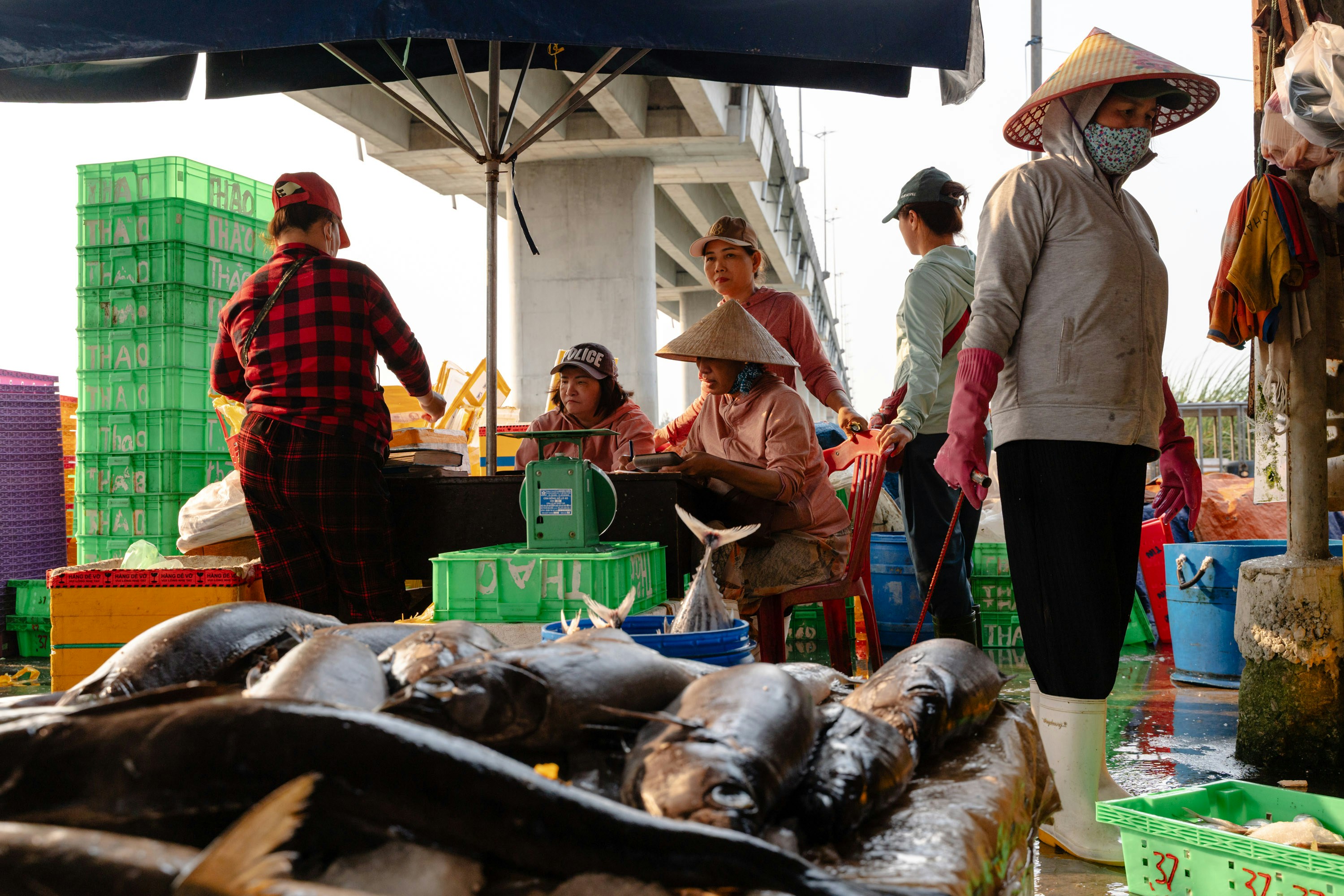 People selling fresh fish at an outdoor market