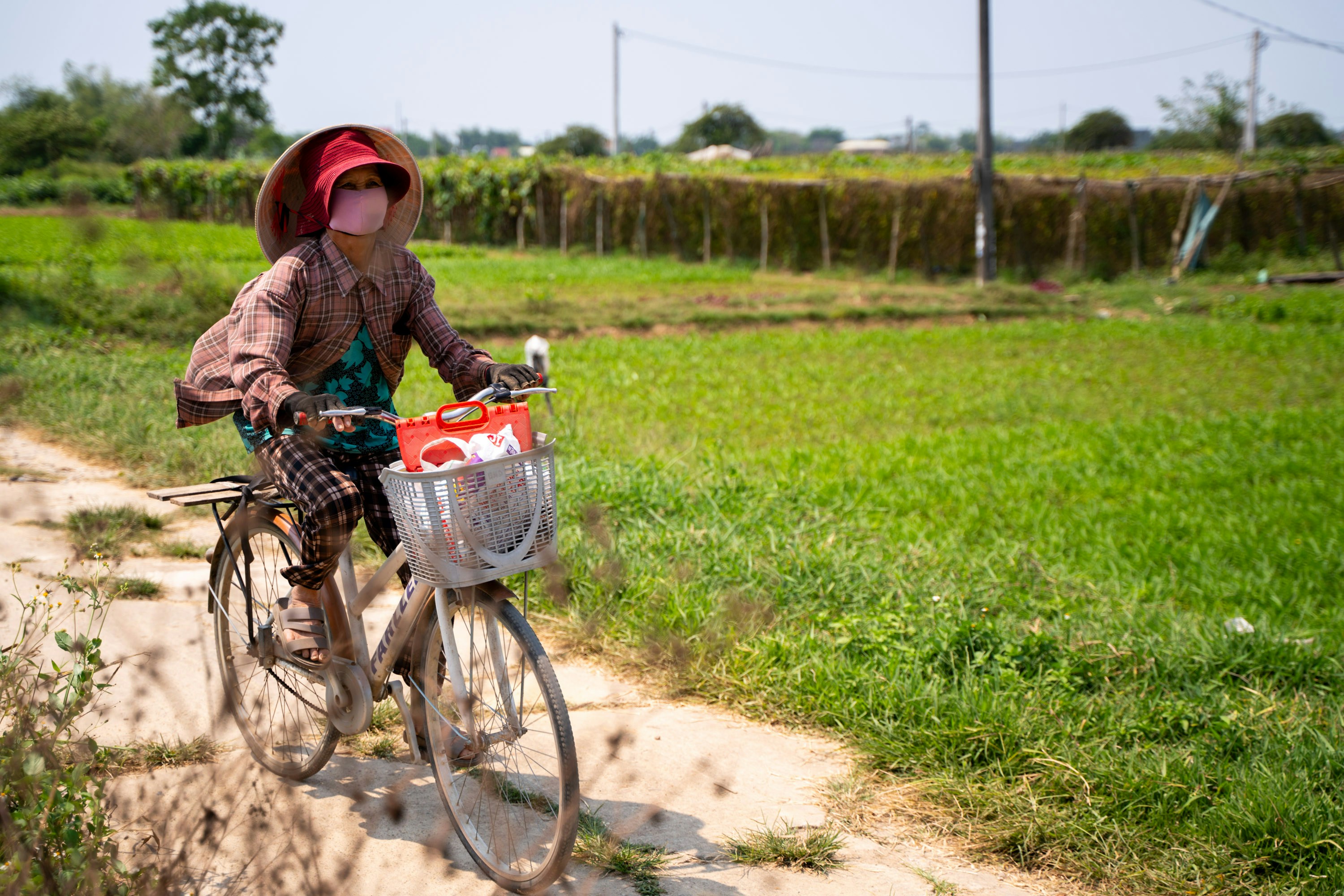 Person rides bicycle through rural landscape