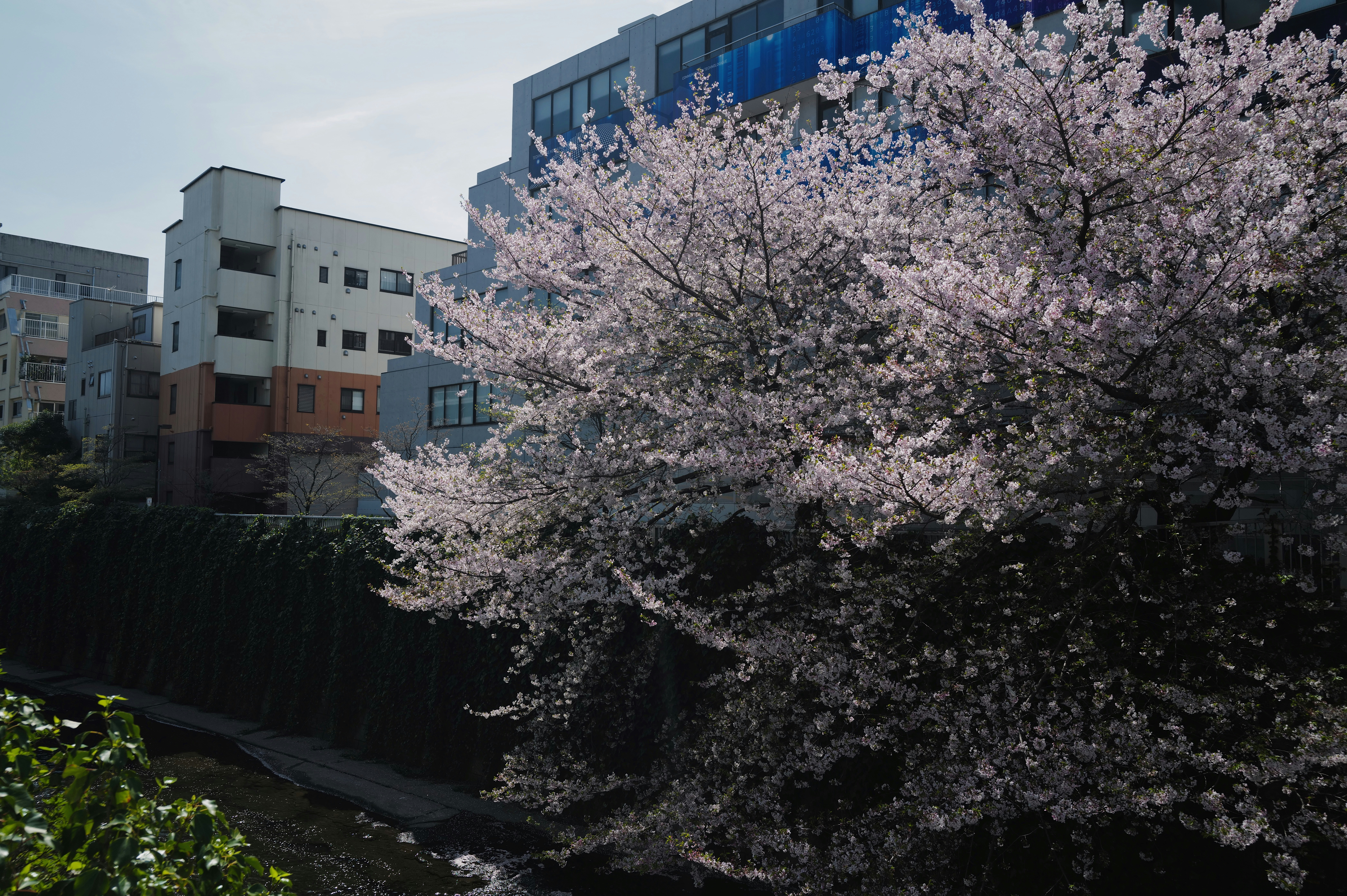 Photo by vindurriel