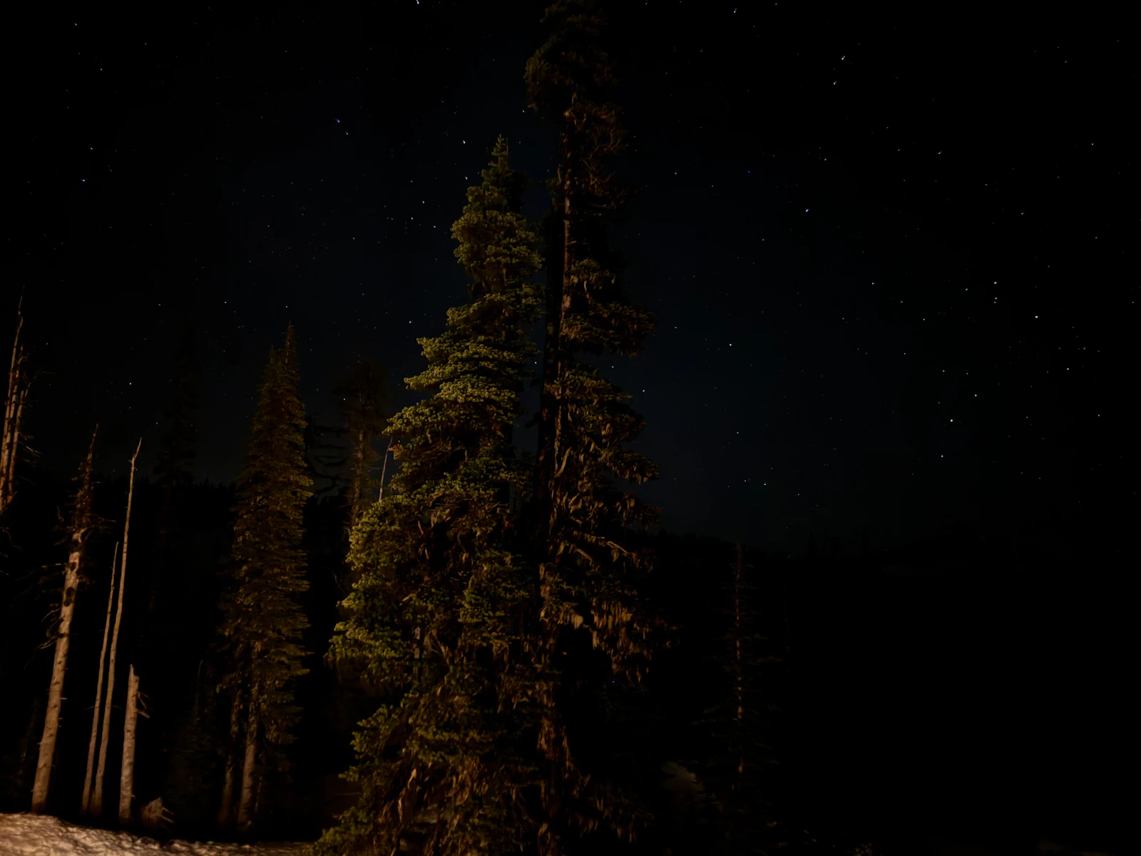 Deep Forest Wilderness & Bushcraft Jungle Camp preview 2