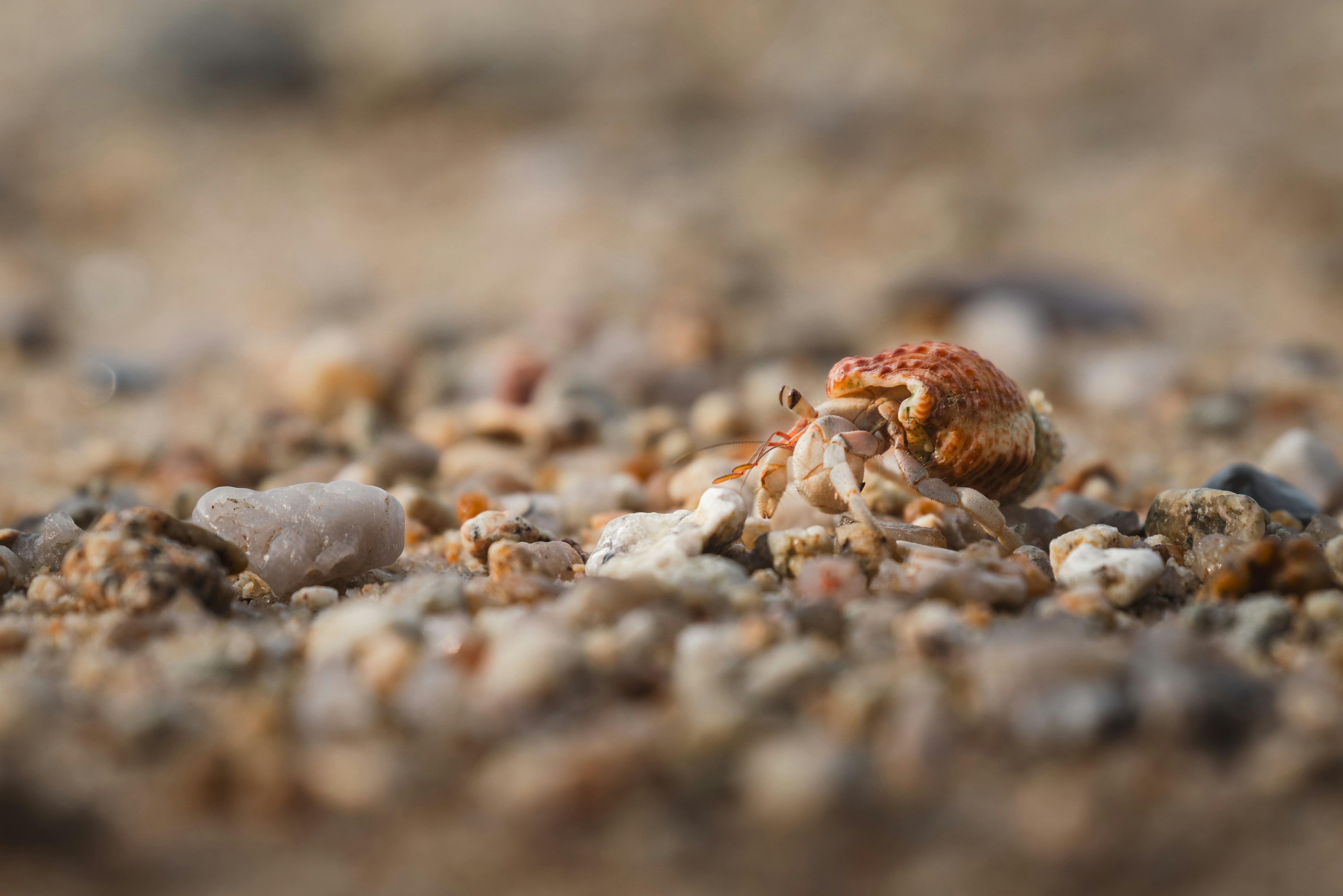 Photo by ahmetyuksek