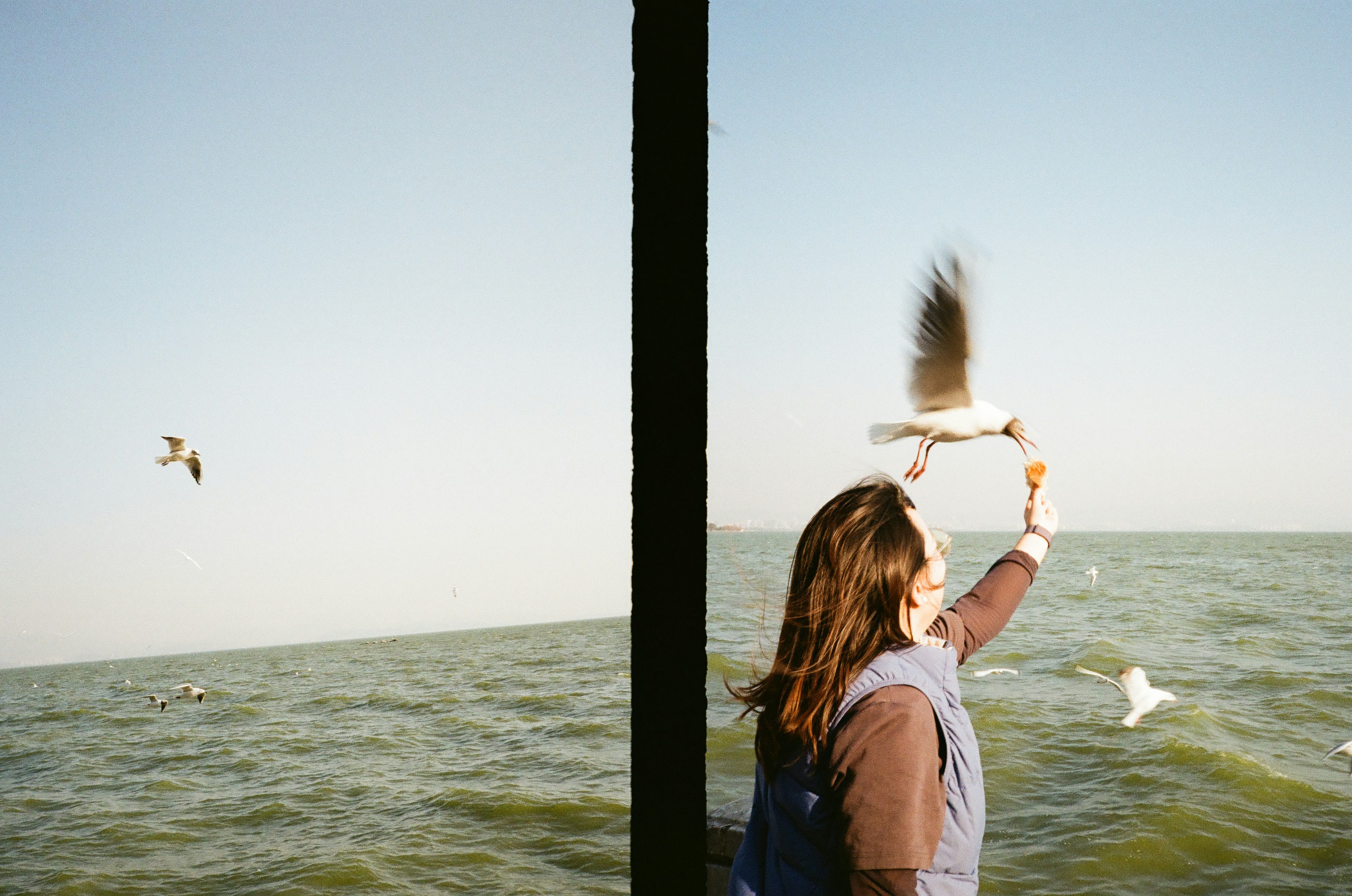 Data Goldmine: Harnessing Business Data for Expansion