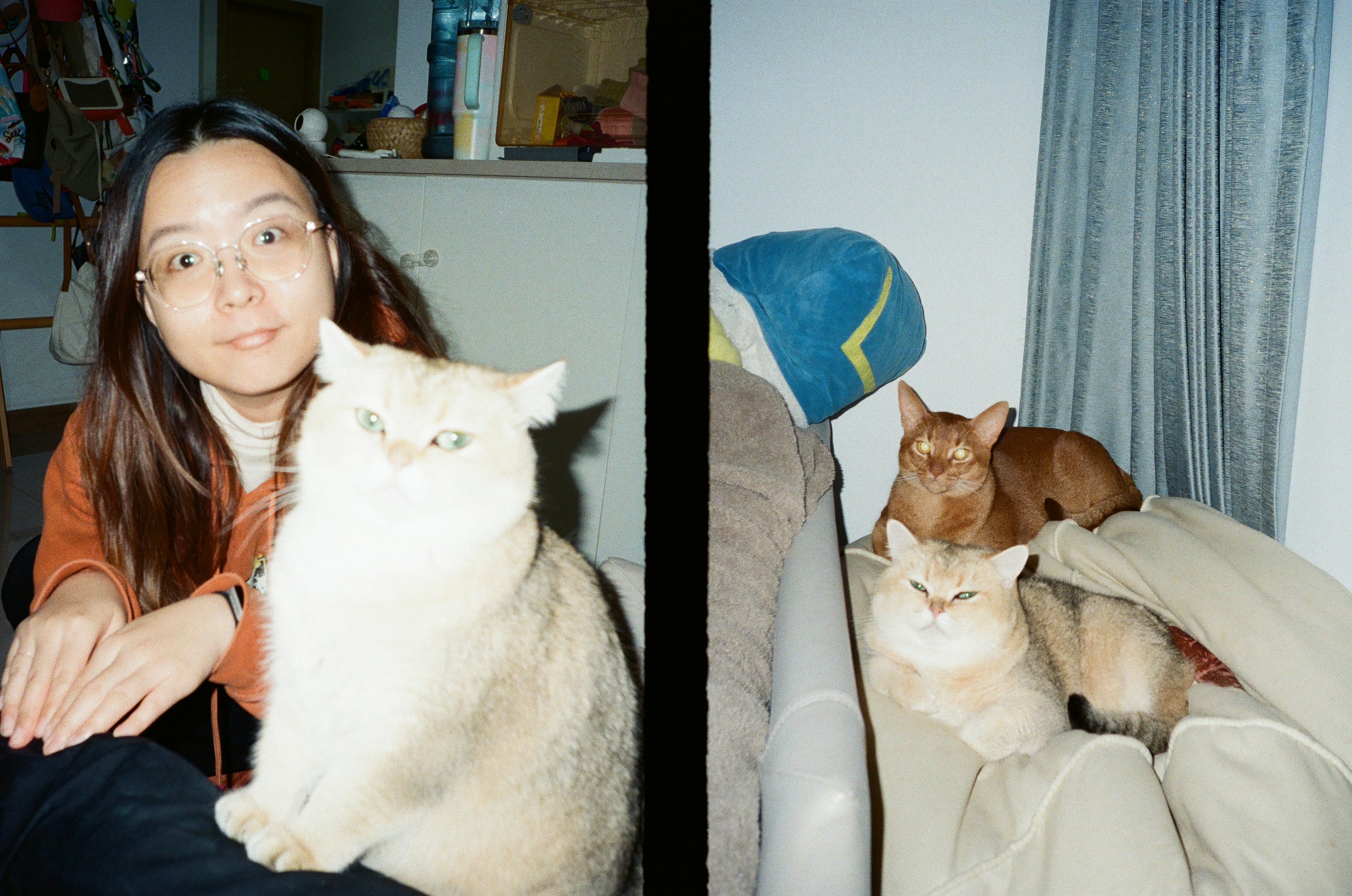 It doesn't matter if you are attempting to lose a few pounds or a few hundred pounds, the same principals will get you to that final goal, either way. This article has outlined those basic principals and a few more to get you to that ultimate number on th