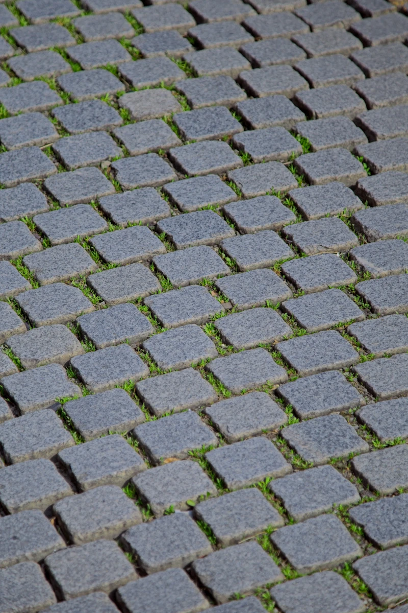 Paver Walkway