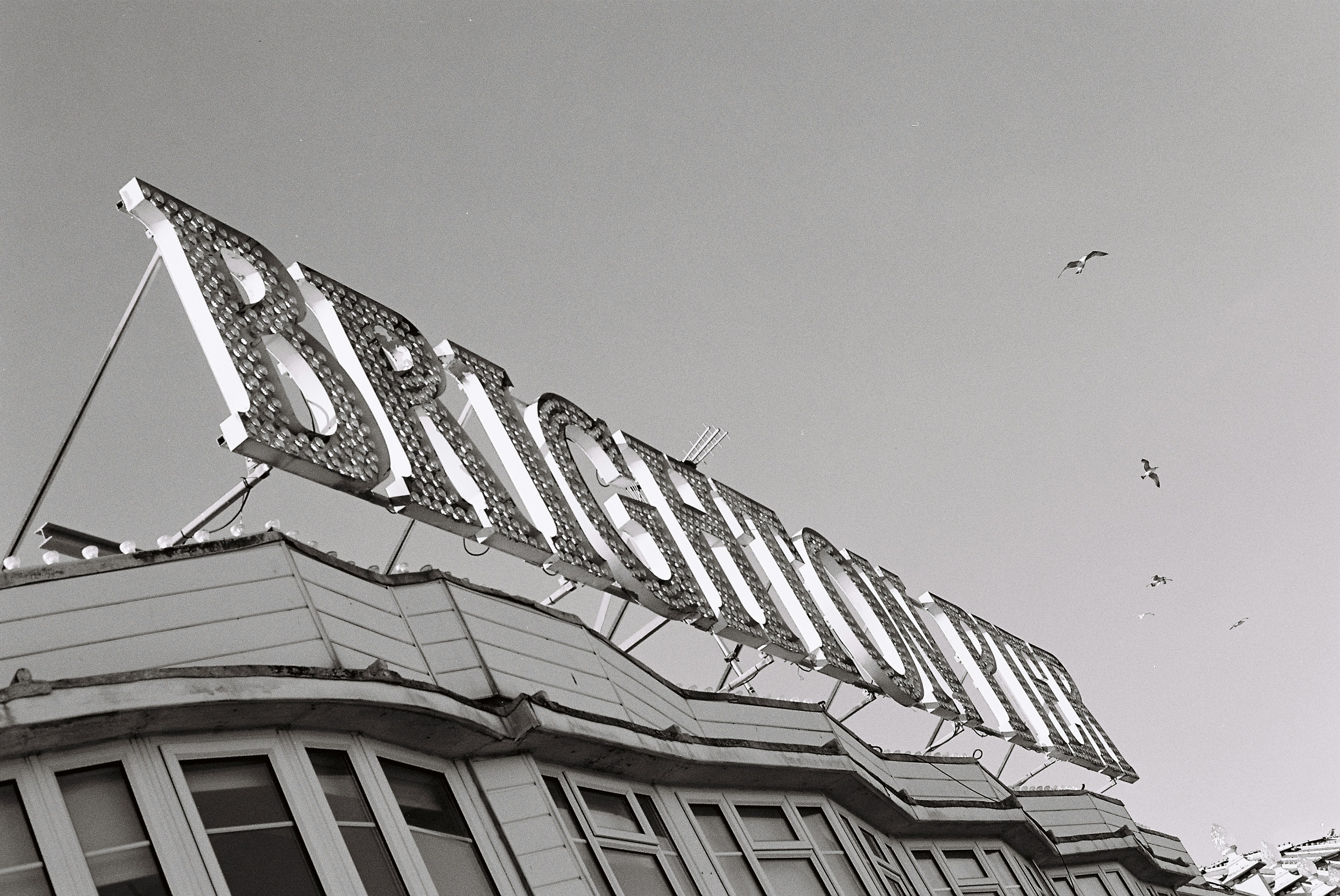 맑은 하늘을 배경으로 건물에 걸린 복고풍 간판