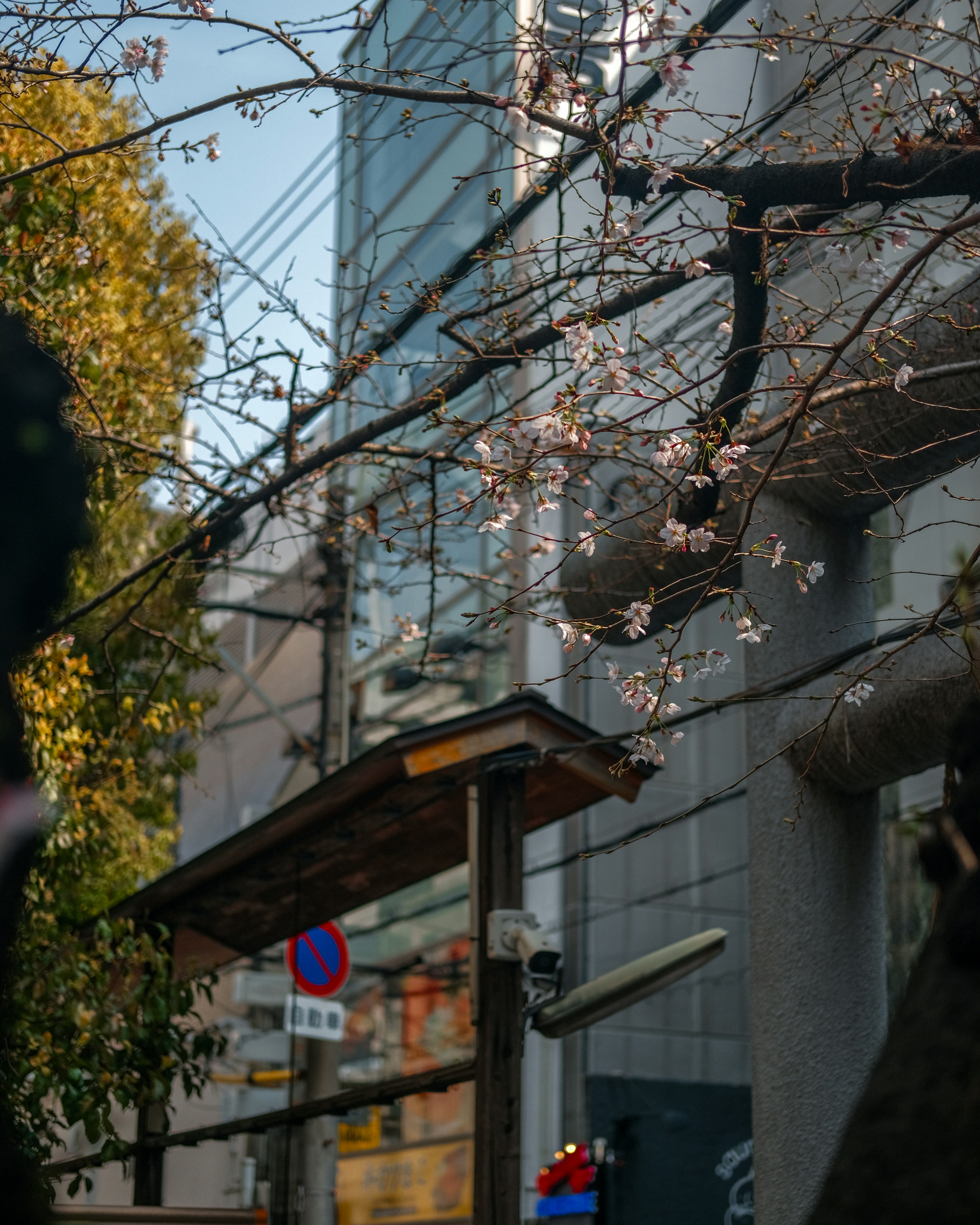 Photo by shadoweng93