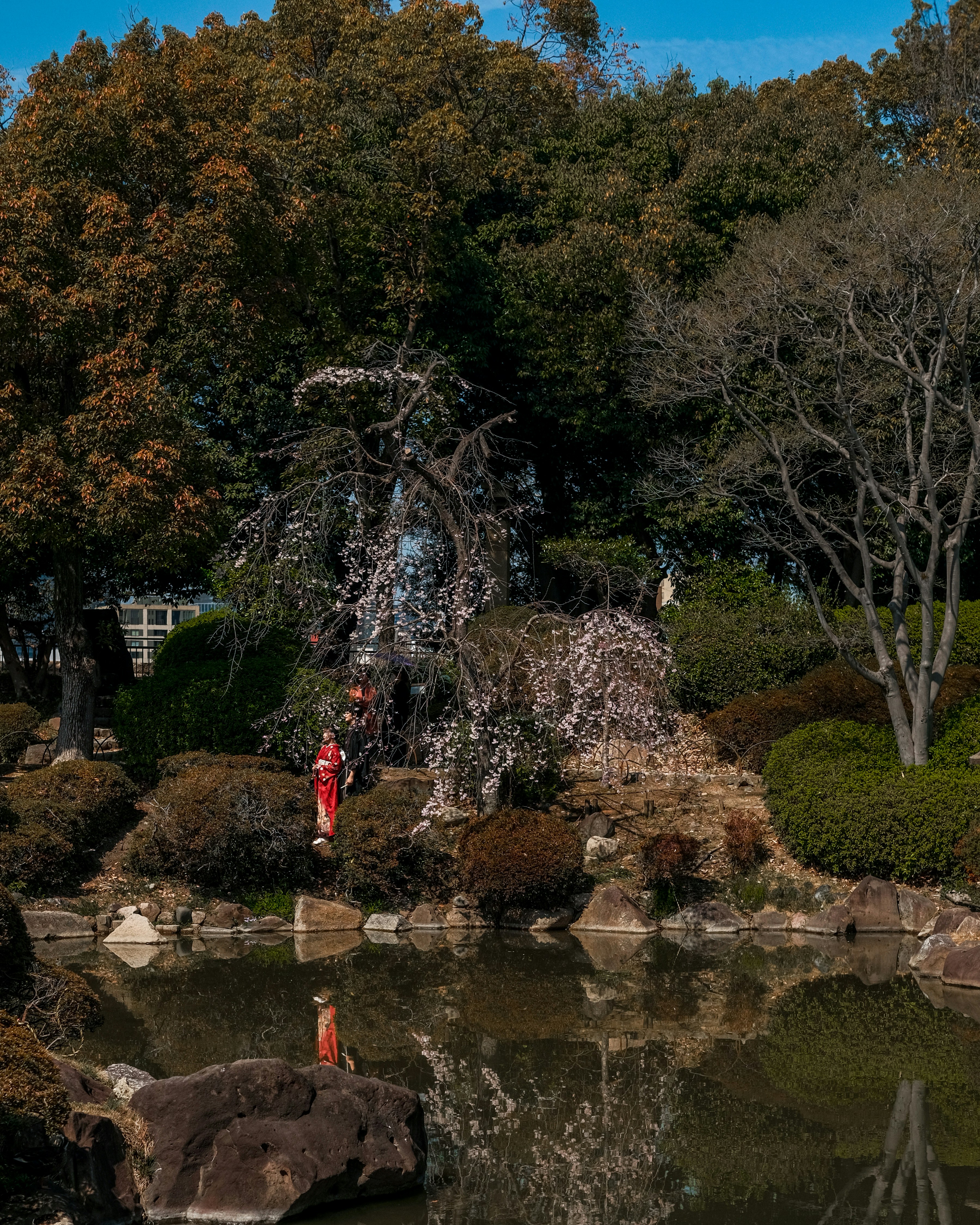 Two women in red kimonos stand by a pond.