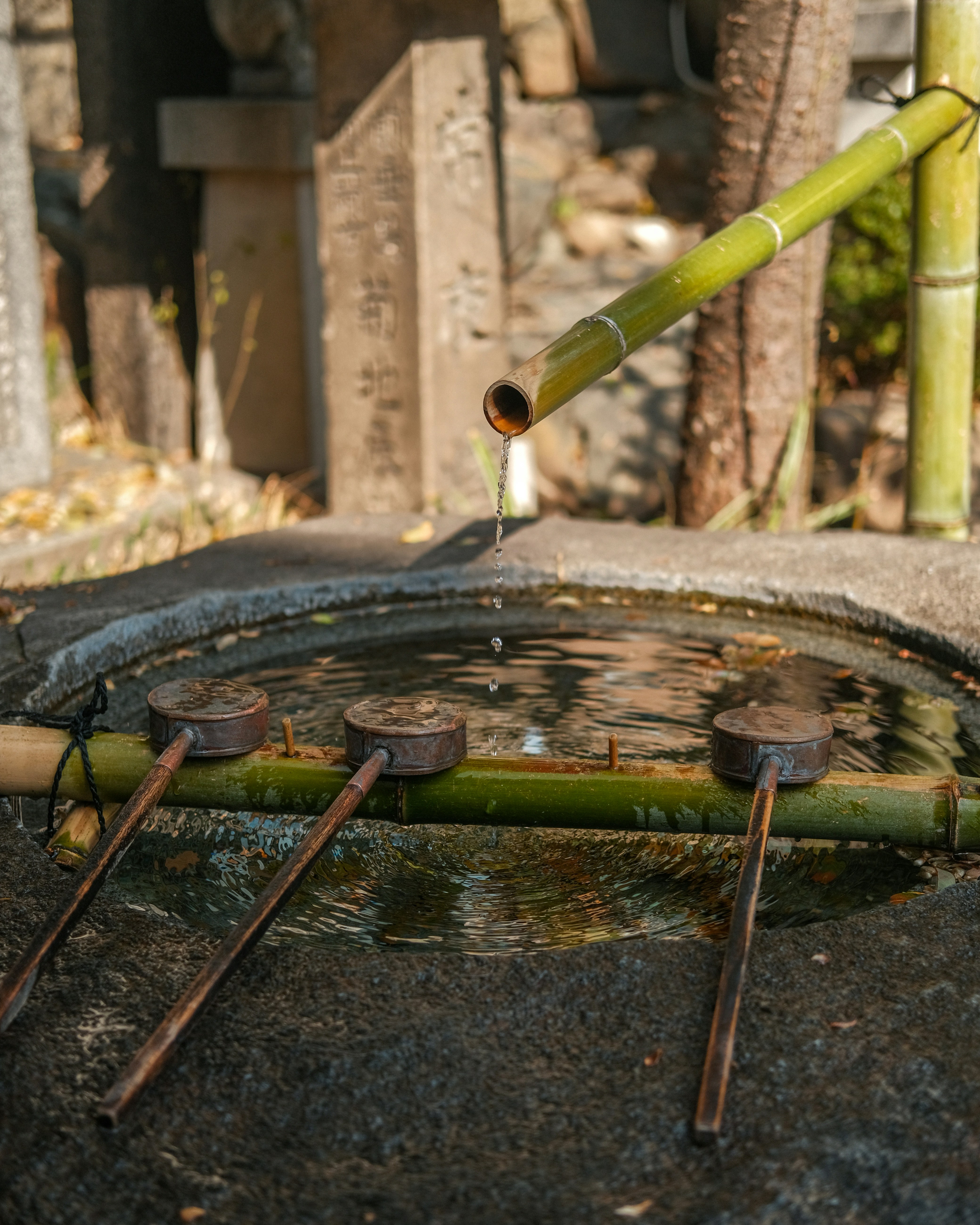 Bamboo spout pours water into basin with ladles