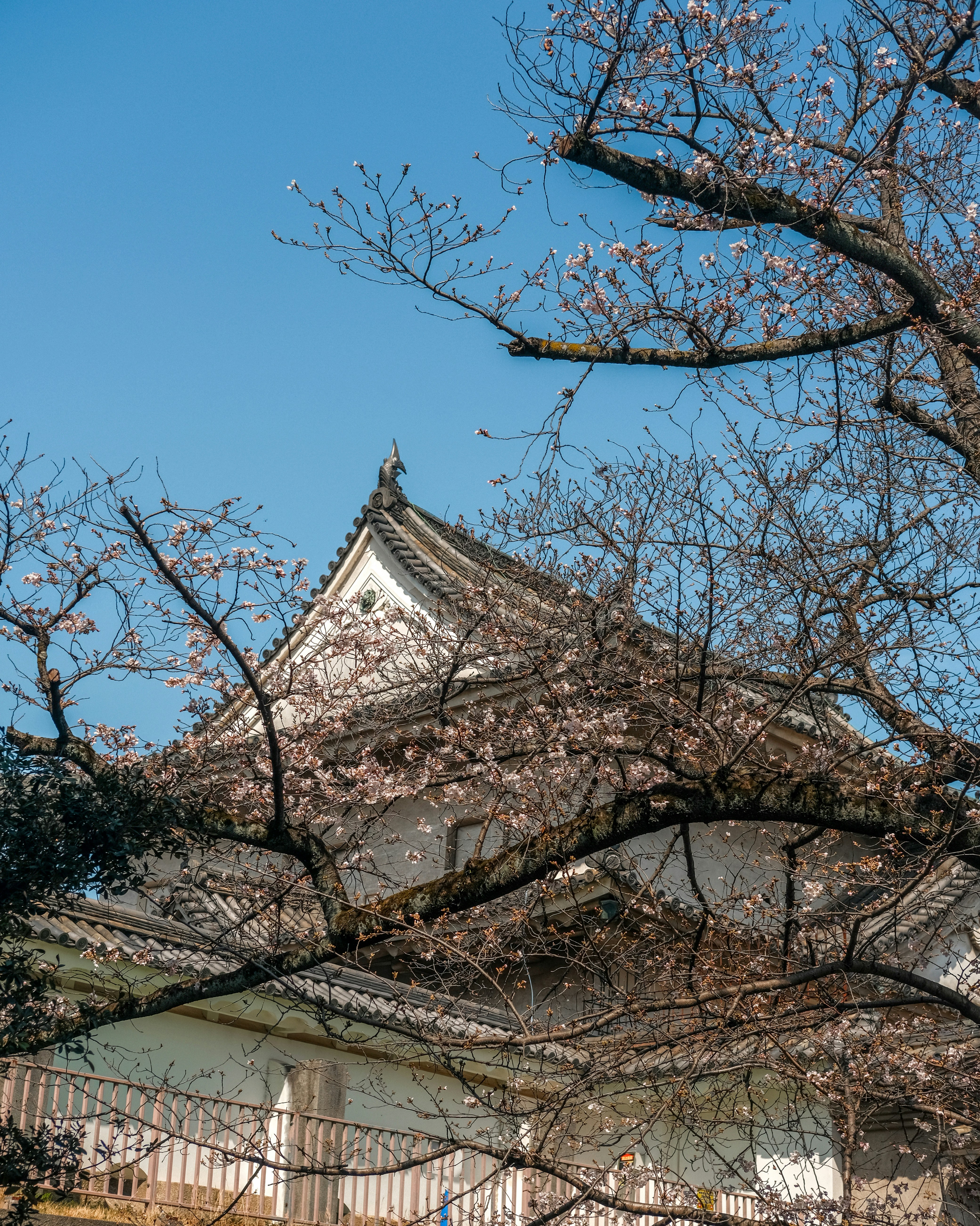 Photo by shadoweng93