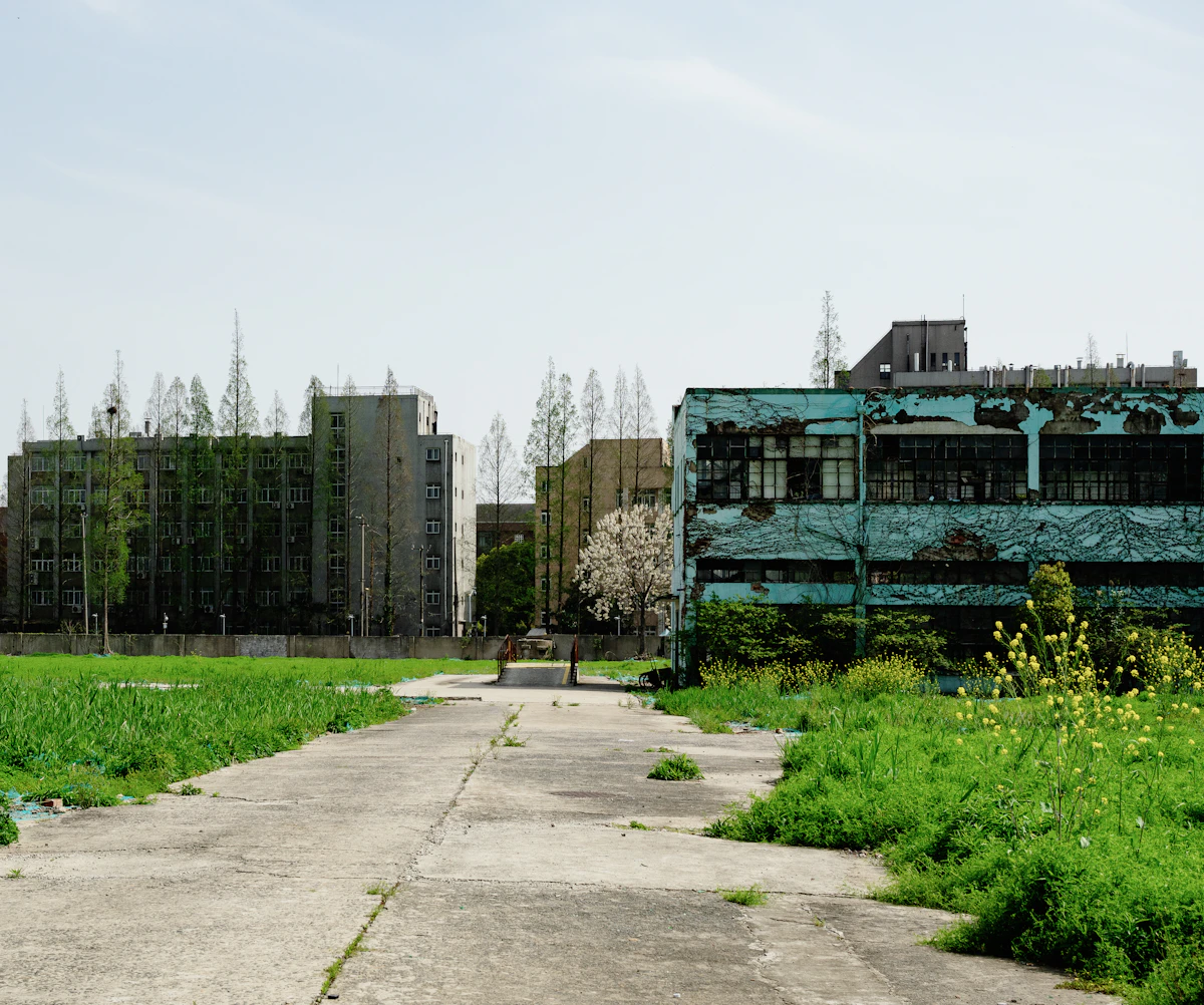 Abandoned buildings overgrown with green grass and trees