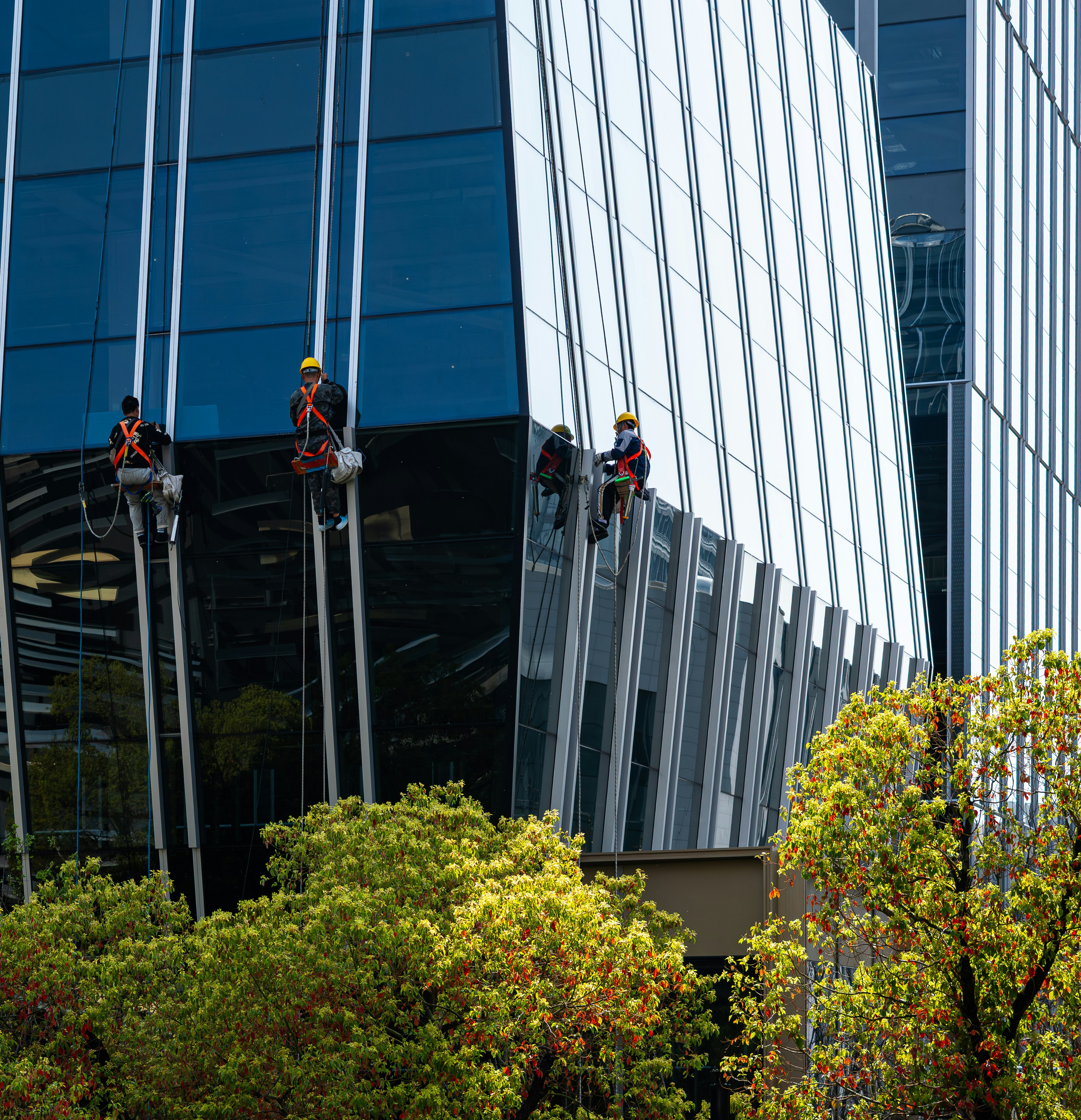 building maintenance professional