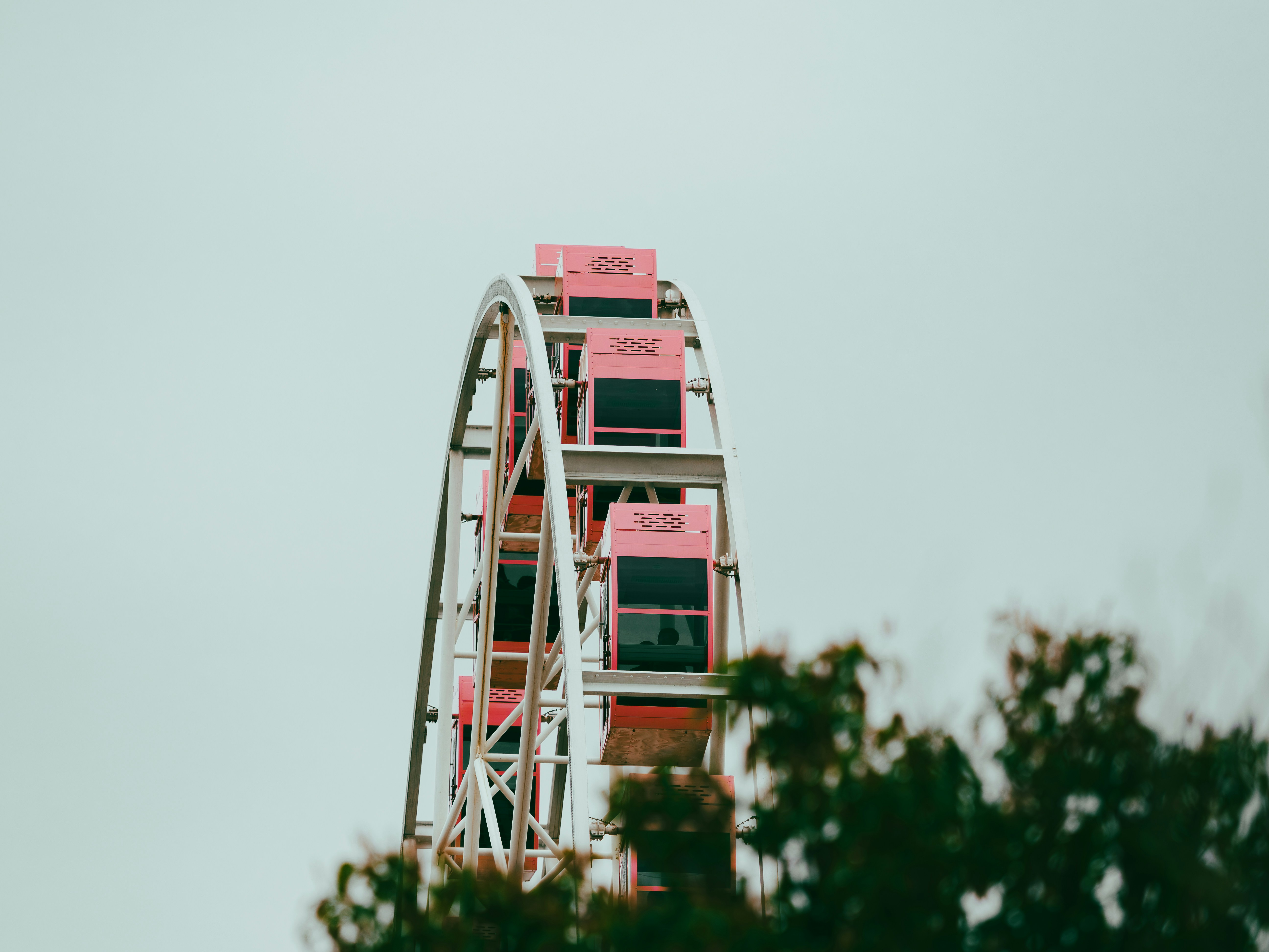 Pink ferris wheel against a cloudy sky