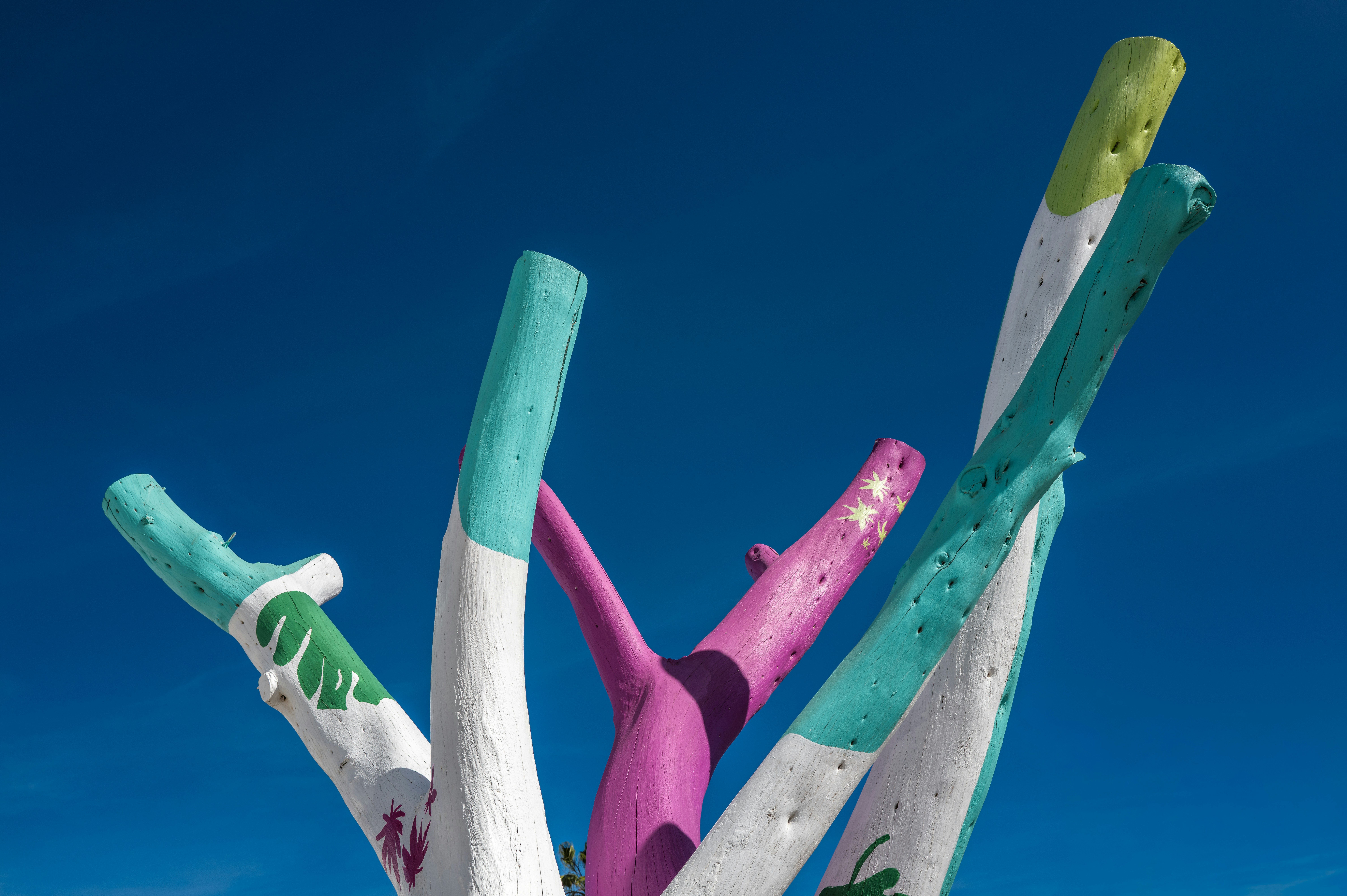 Rami colorati dipinti contro un cielo azzurro brillante