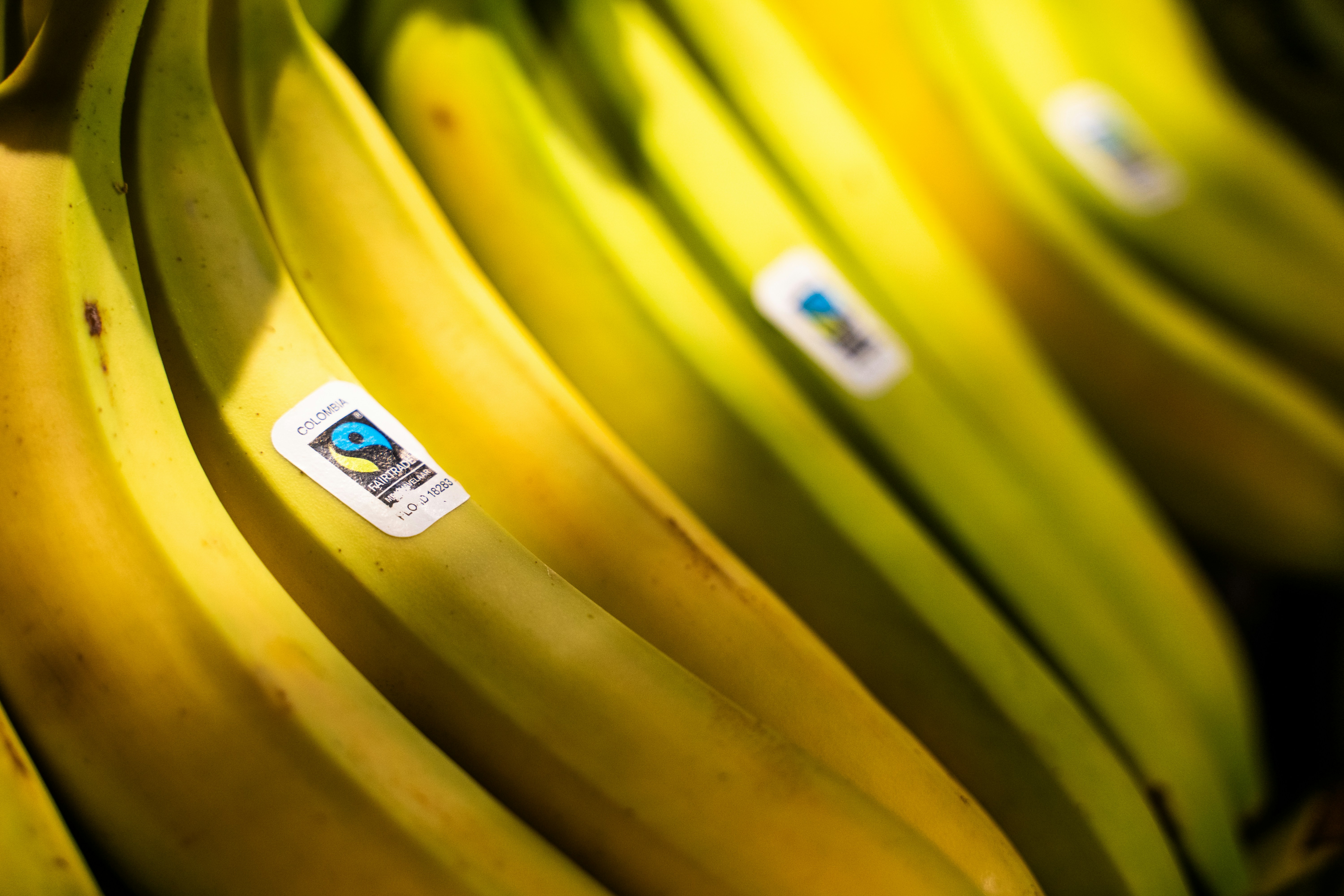 Are Diet Foods Still Worth It in 2026? How to Spot the Products That Actually Deliver