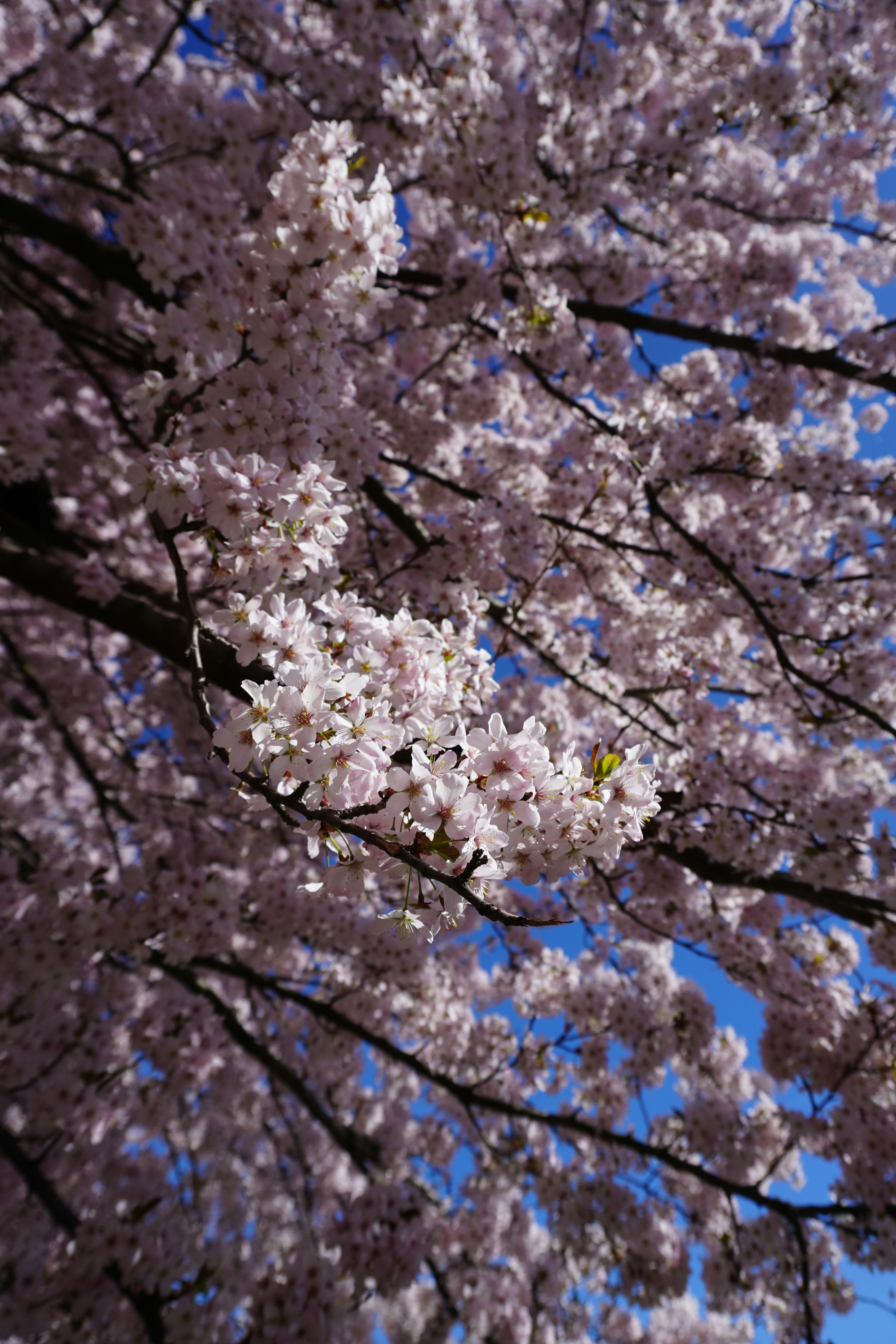 Photo by photographydamiankokot
