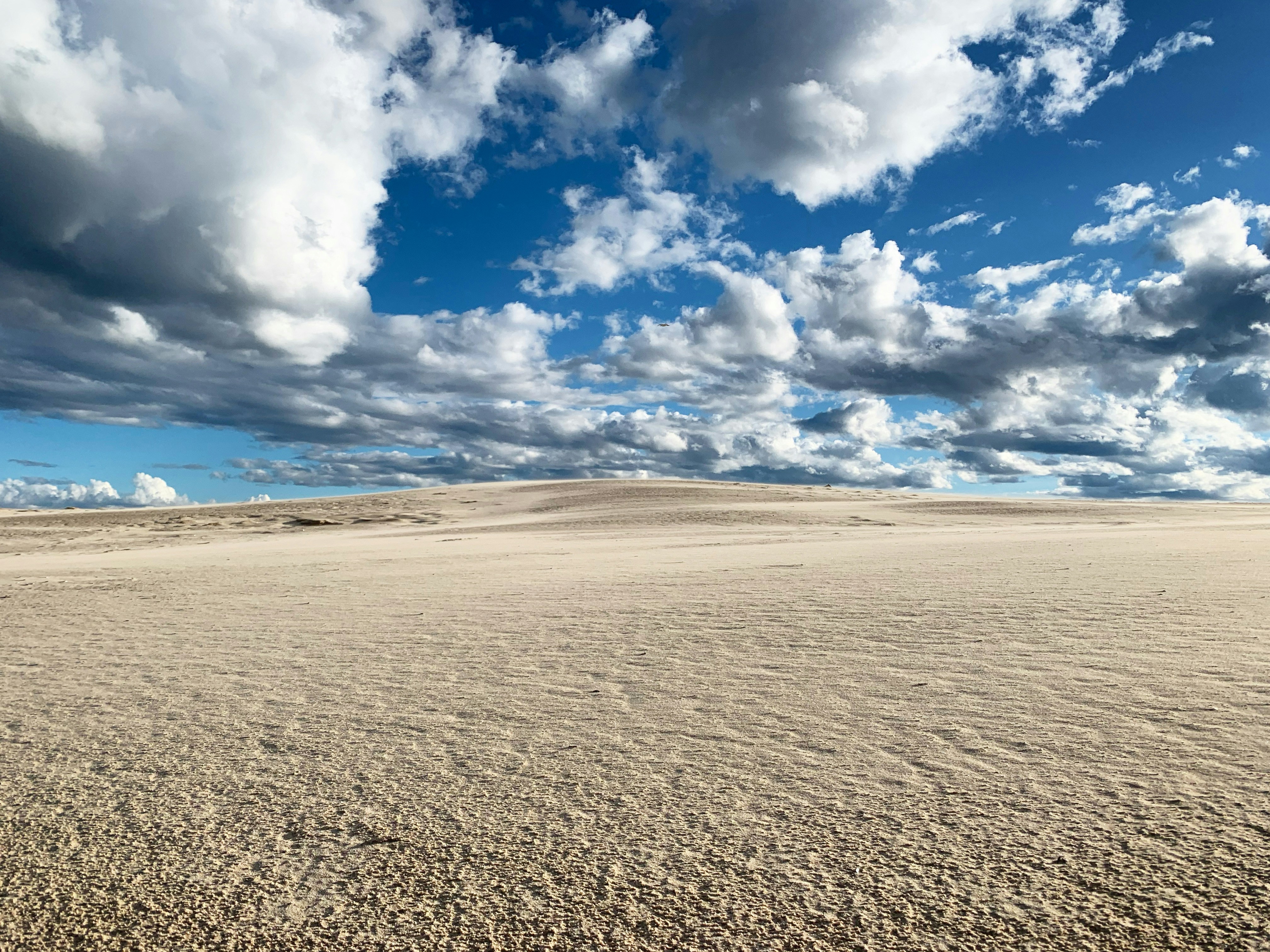Photo by sergei_gussev