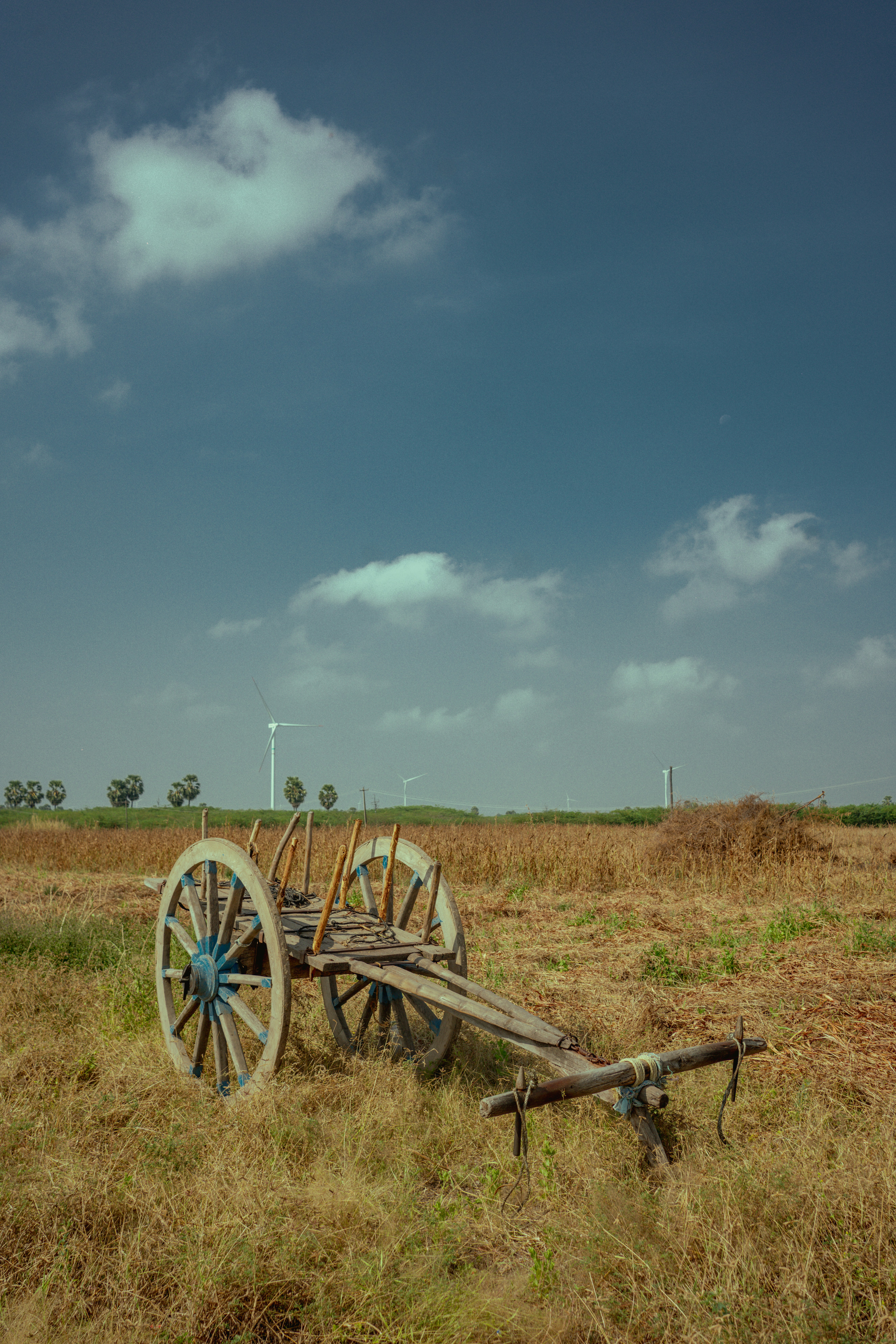Photo by gioshravan