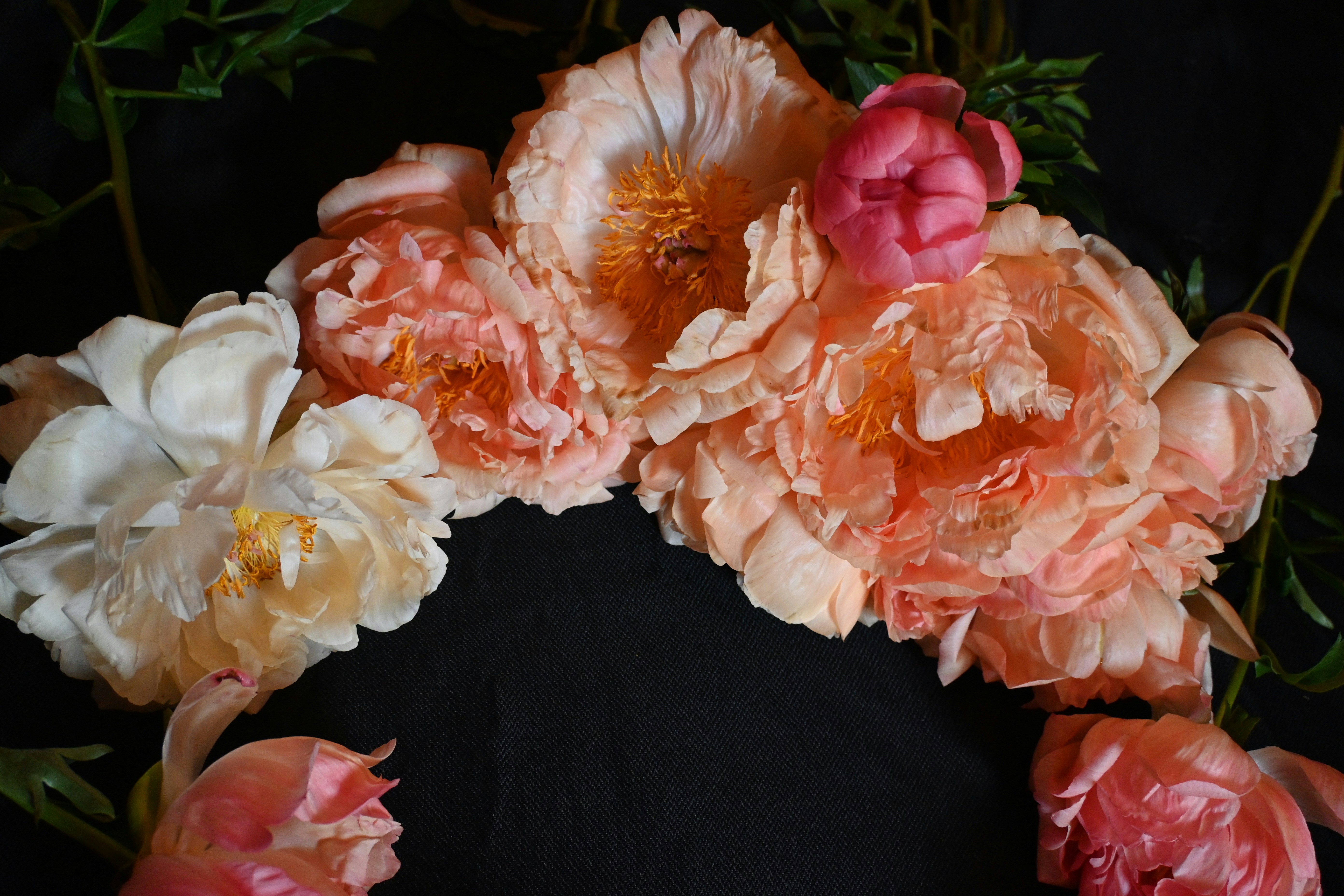 A close-up of a floral arrangement of peonies.