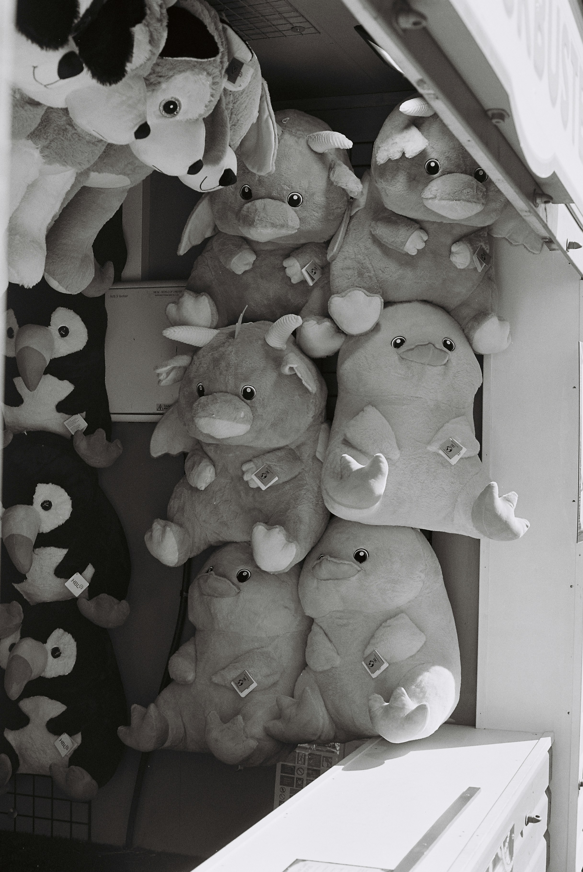 게임 부스에 전시된 봉제 인형들.