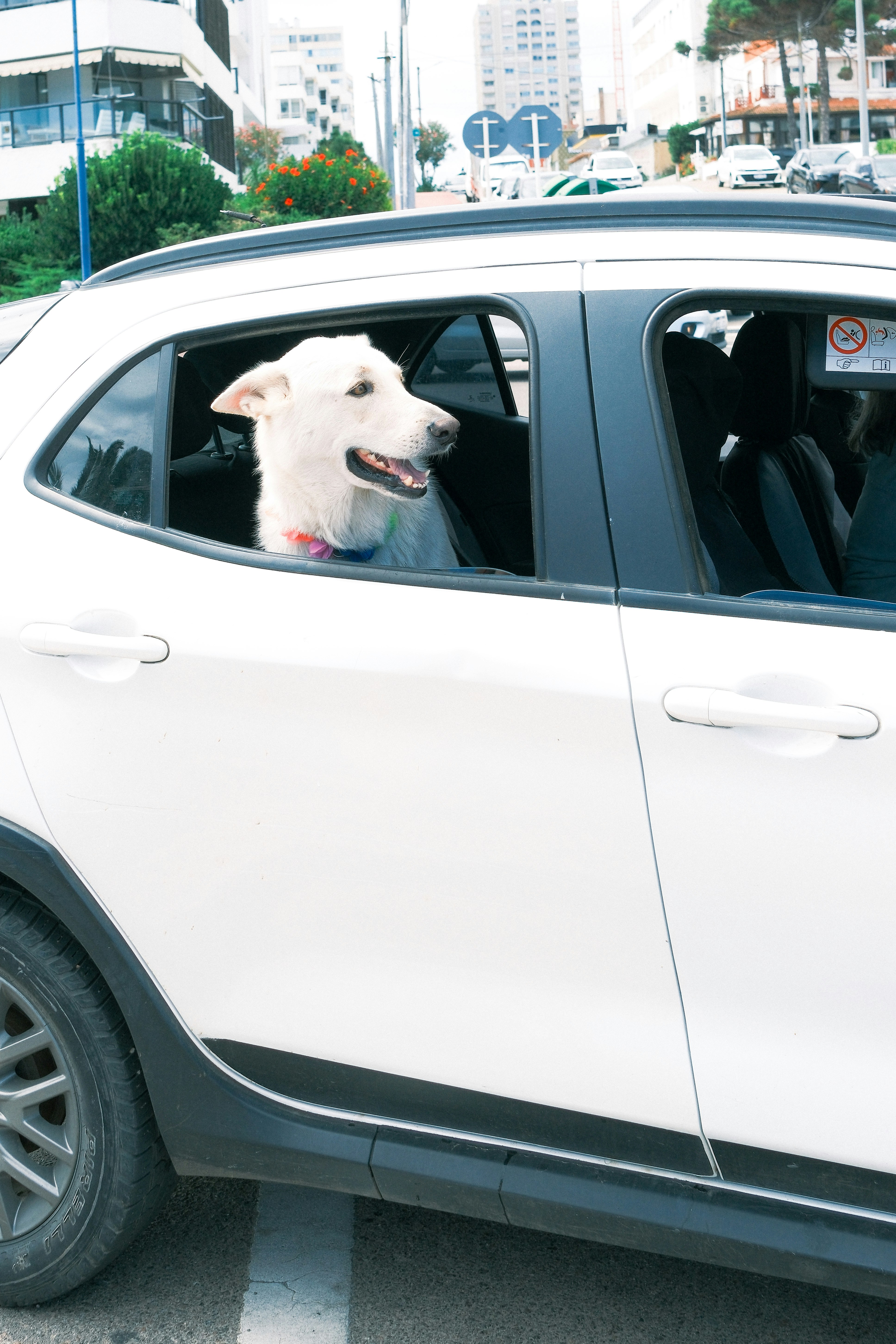 happy car owner