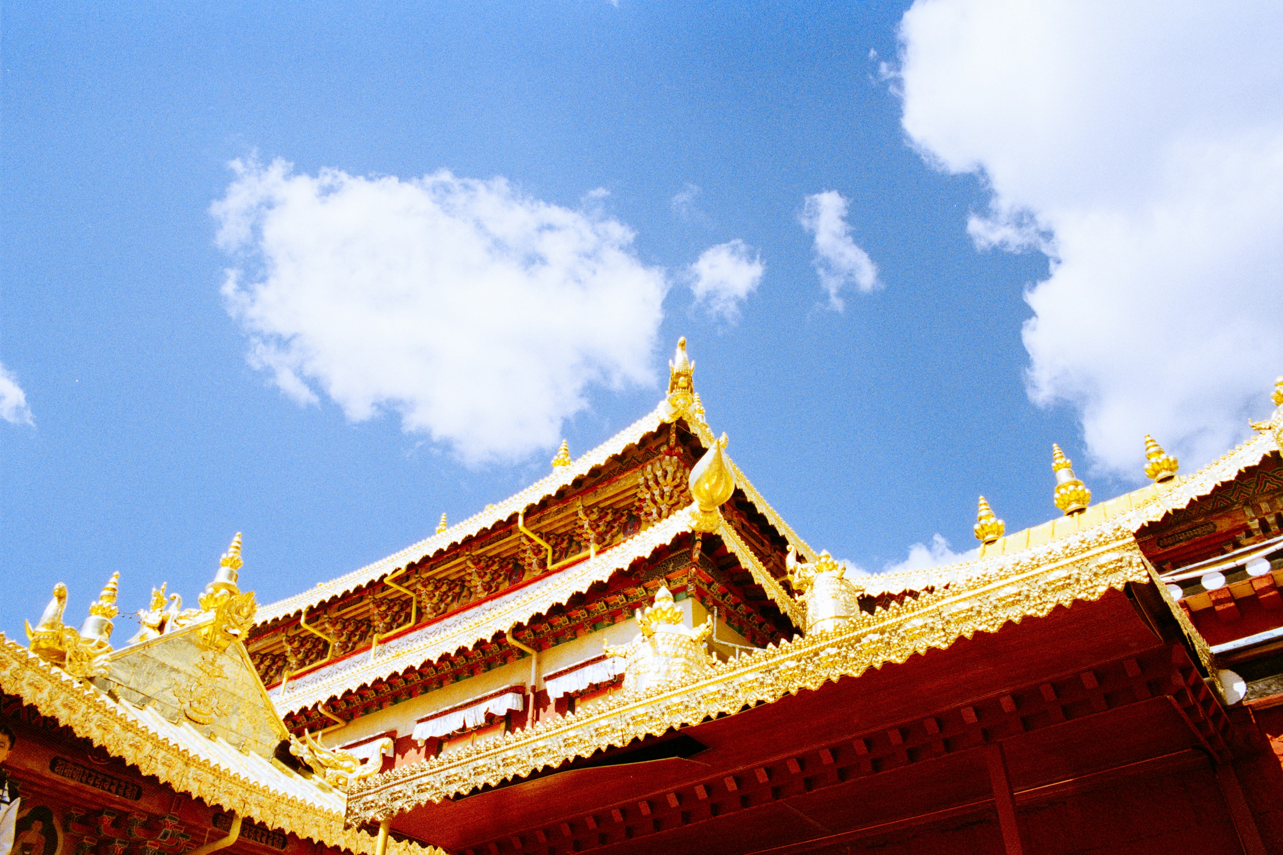 Photo by zhenyao_photo