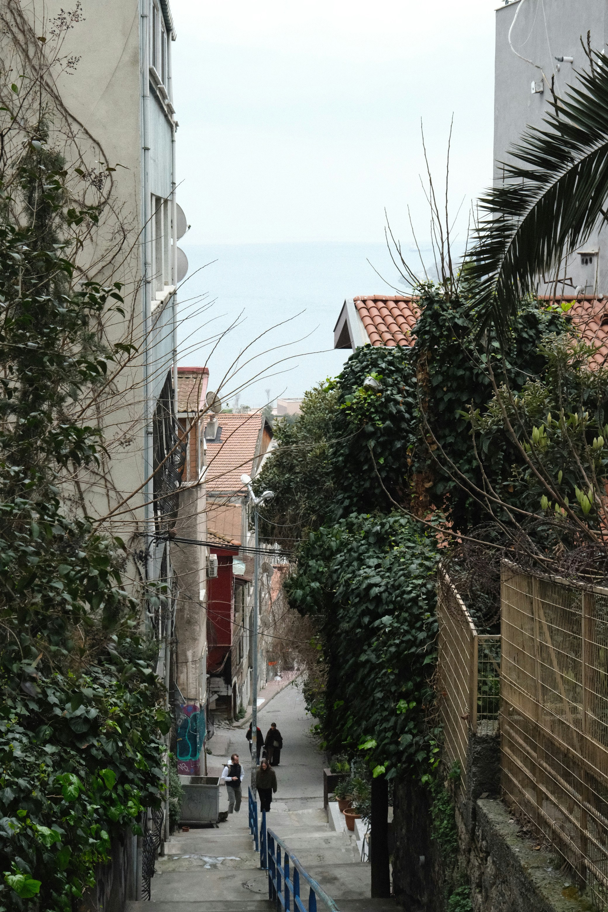 Enge Straße mit Gebäuden und Grün, die zum Meer führen.