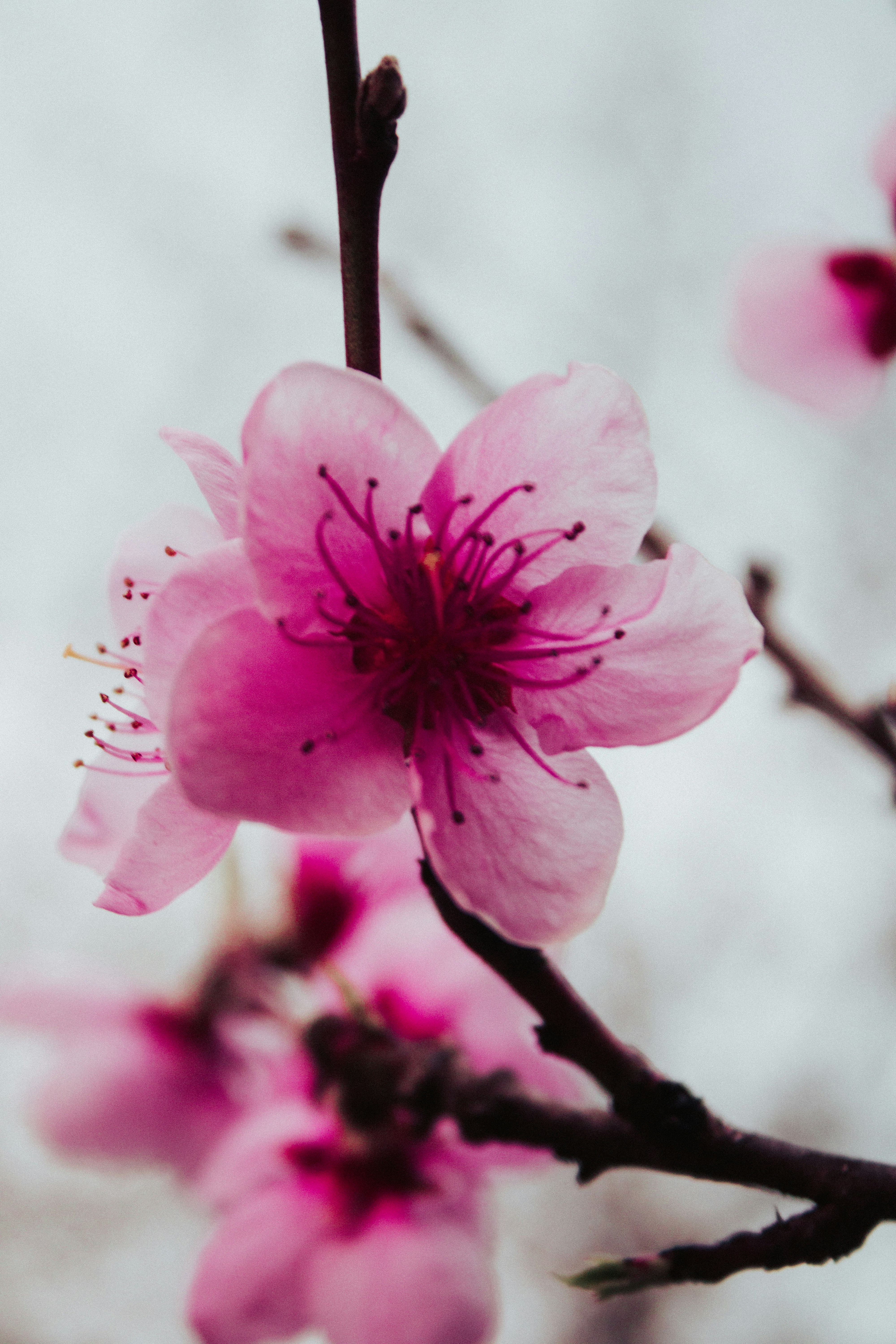 Photo by sokoltge