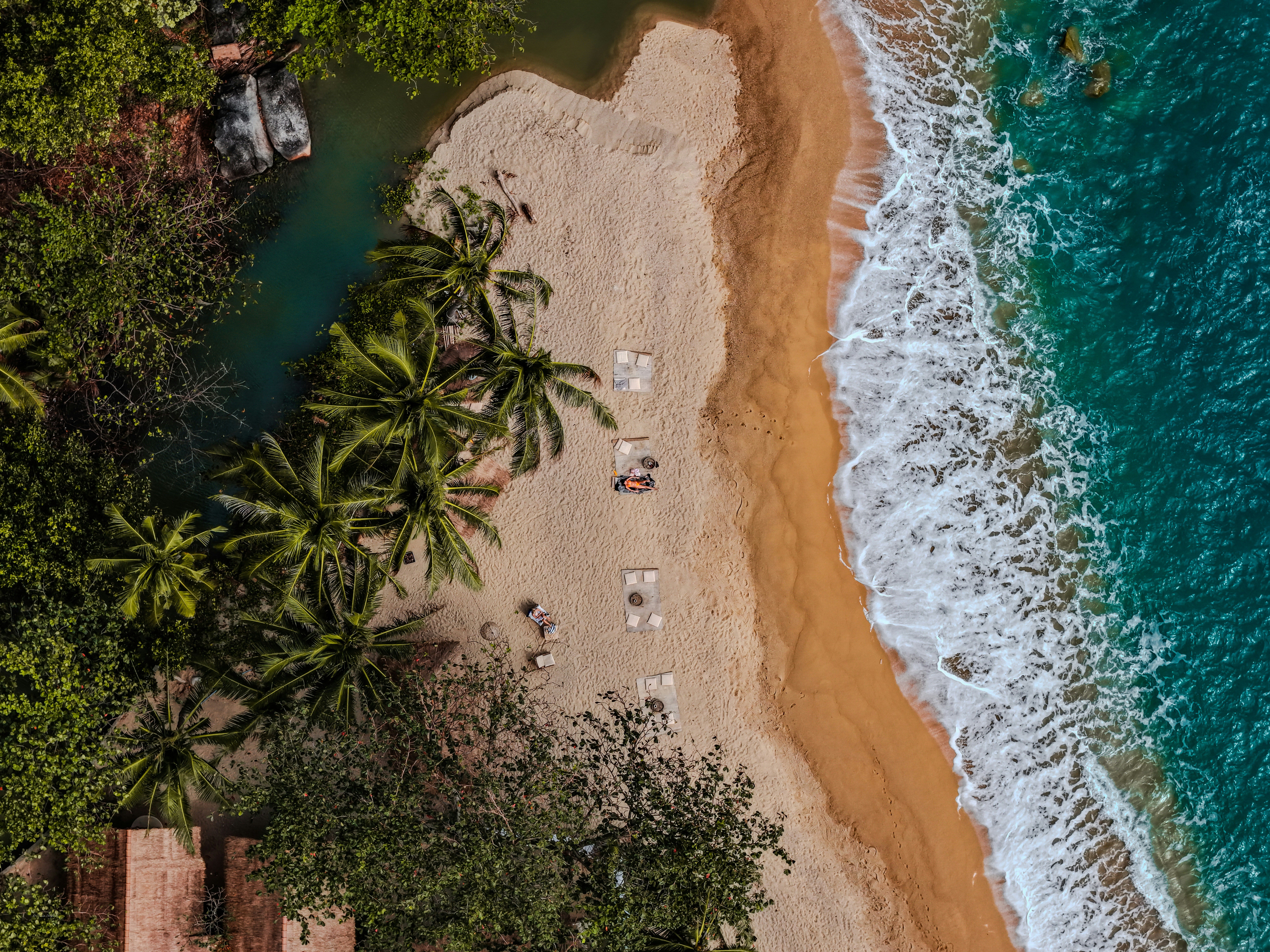 Tropical beach with palm trees and turquoise ocean waves - Free Photo ...