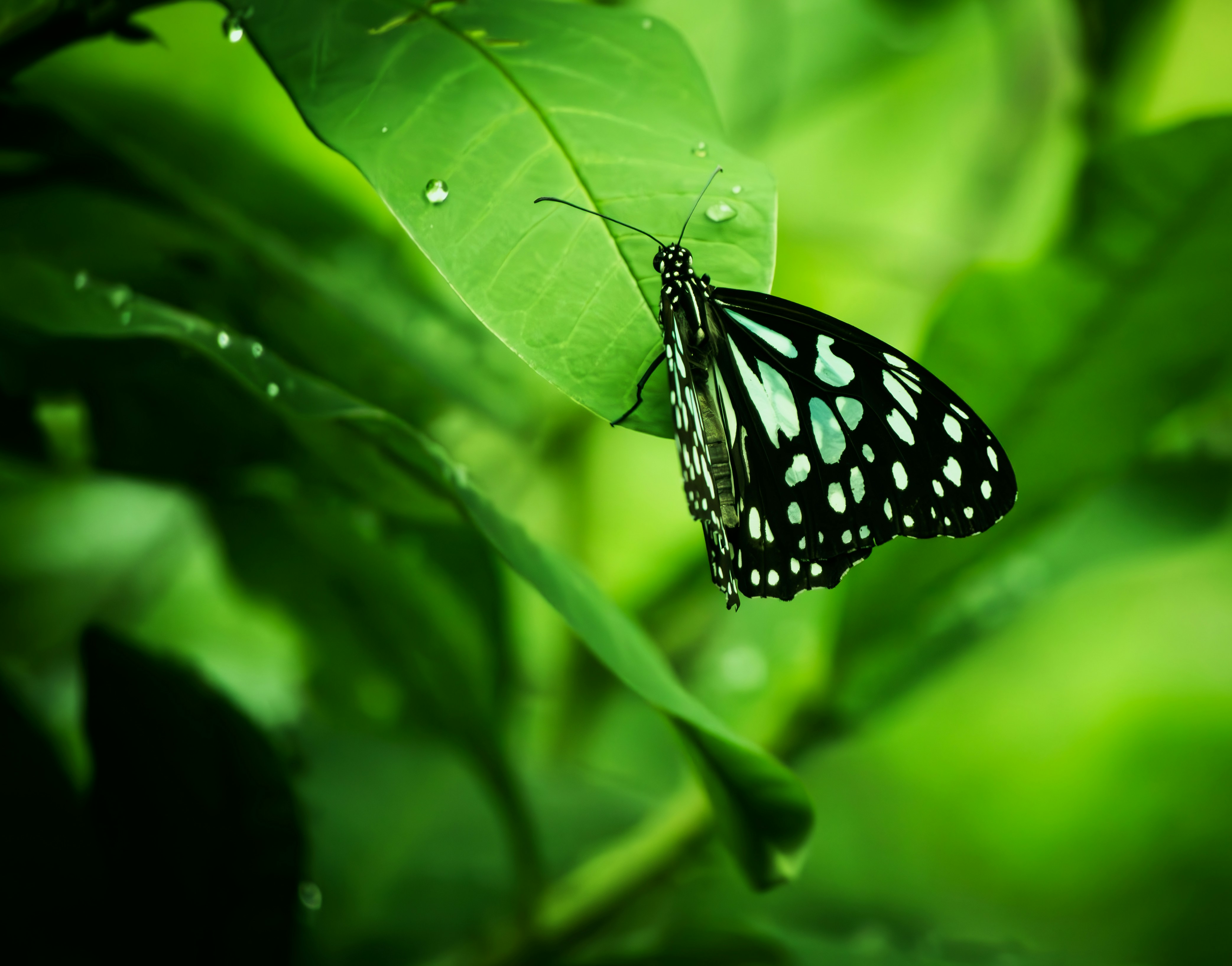 Photo by pksingh2024
