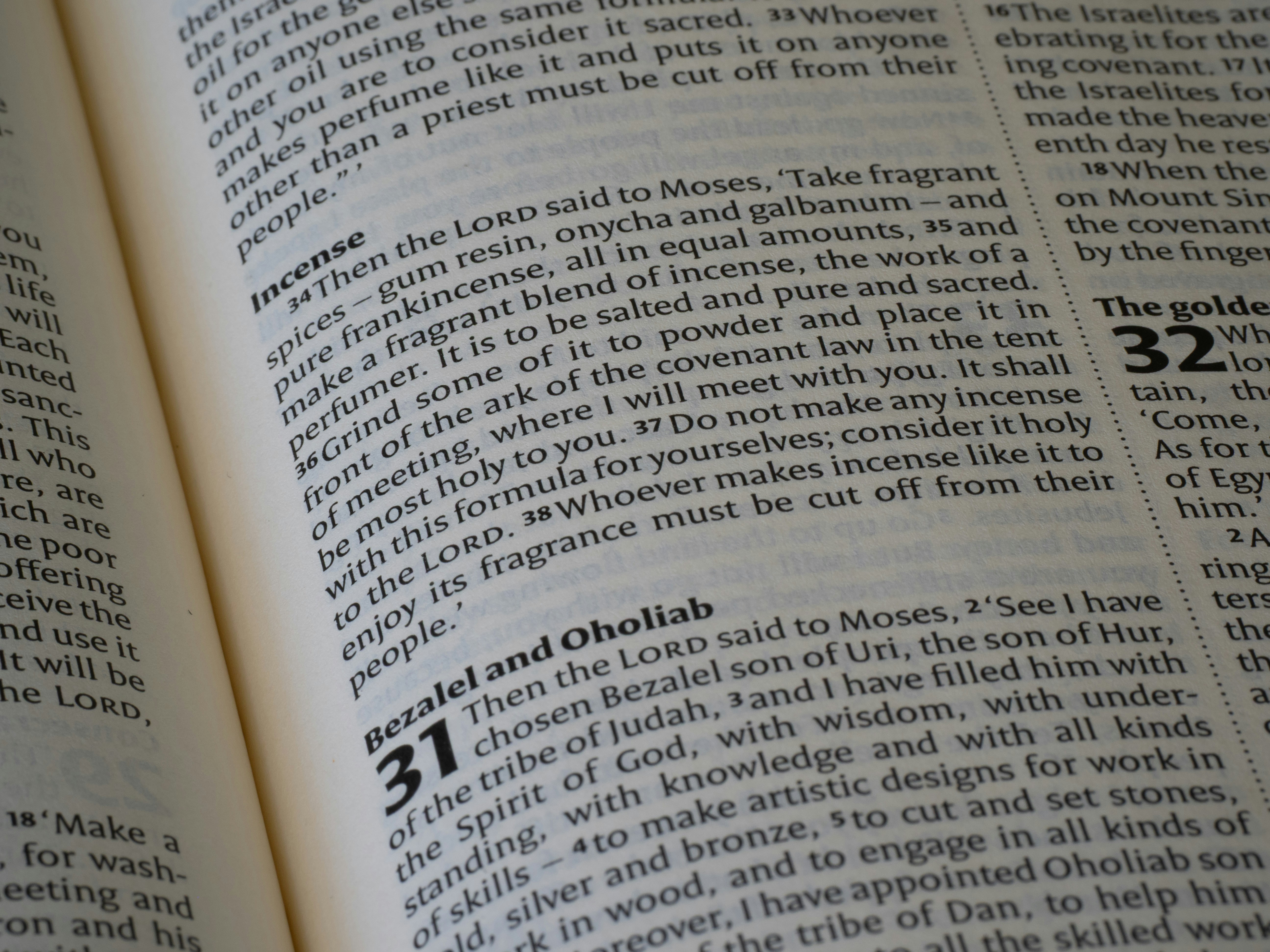Close-up of an open book with text.