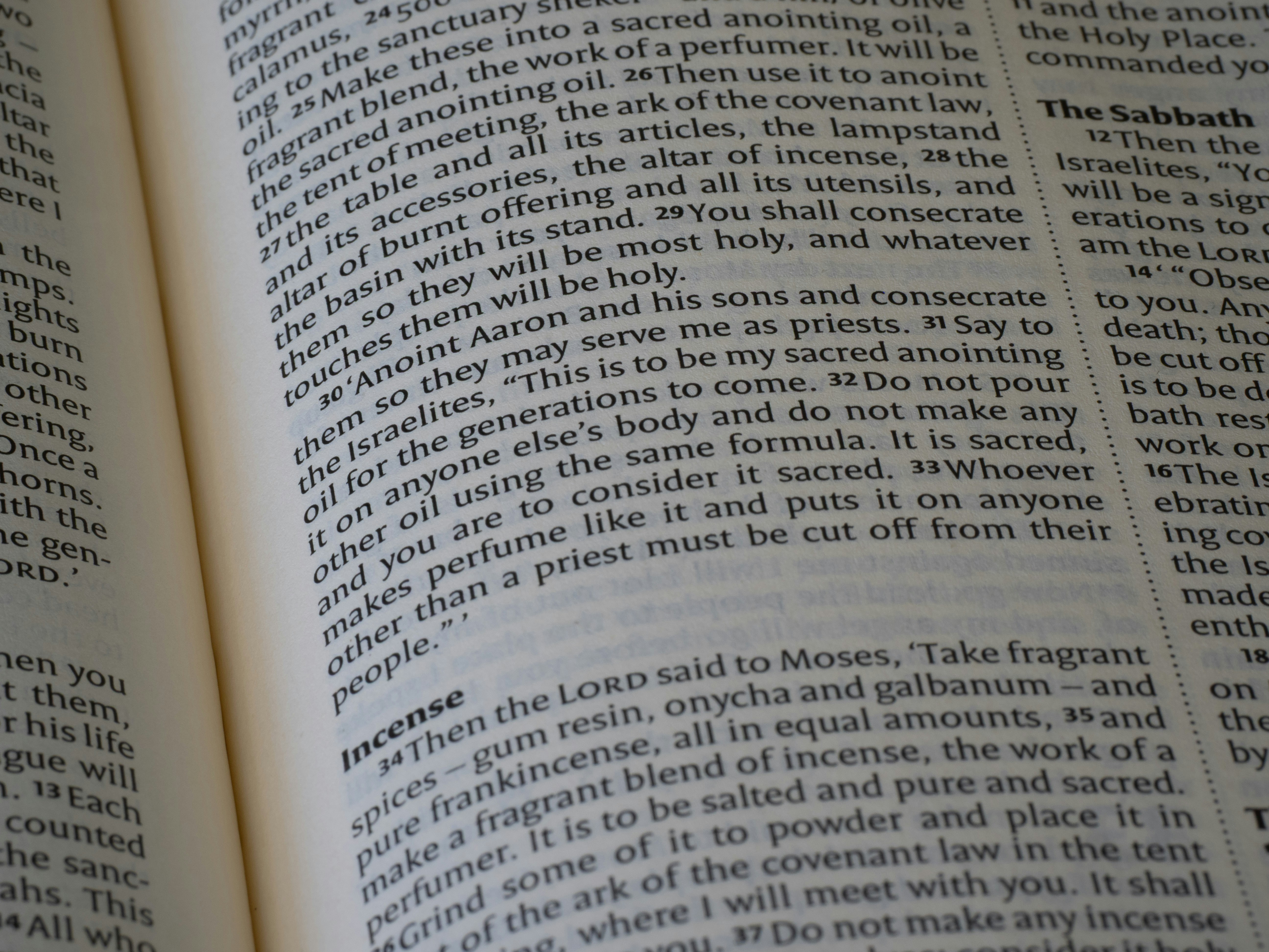 Close-up of an open book with text.
