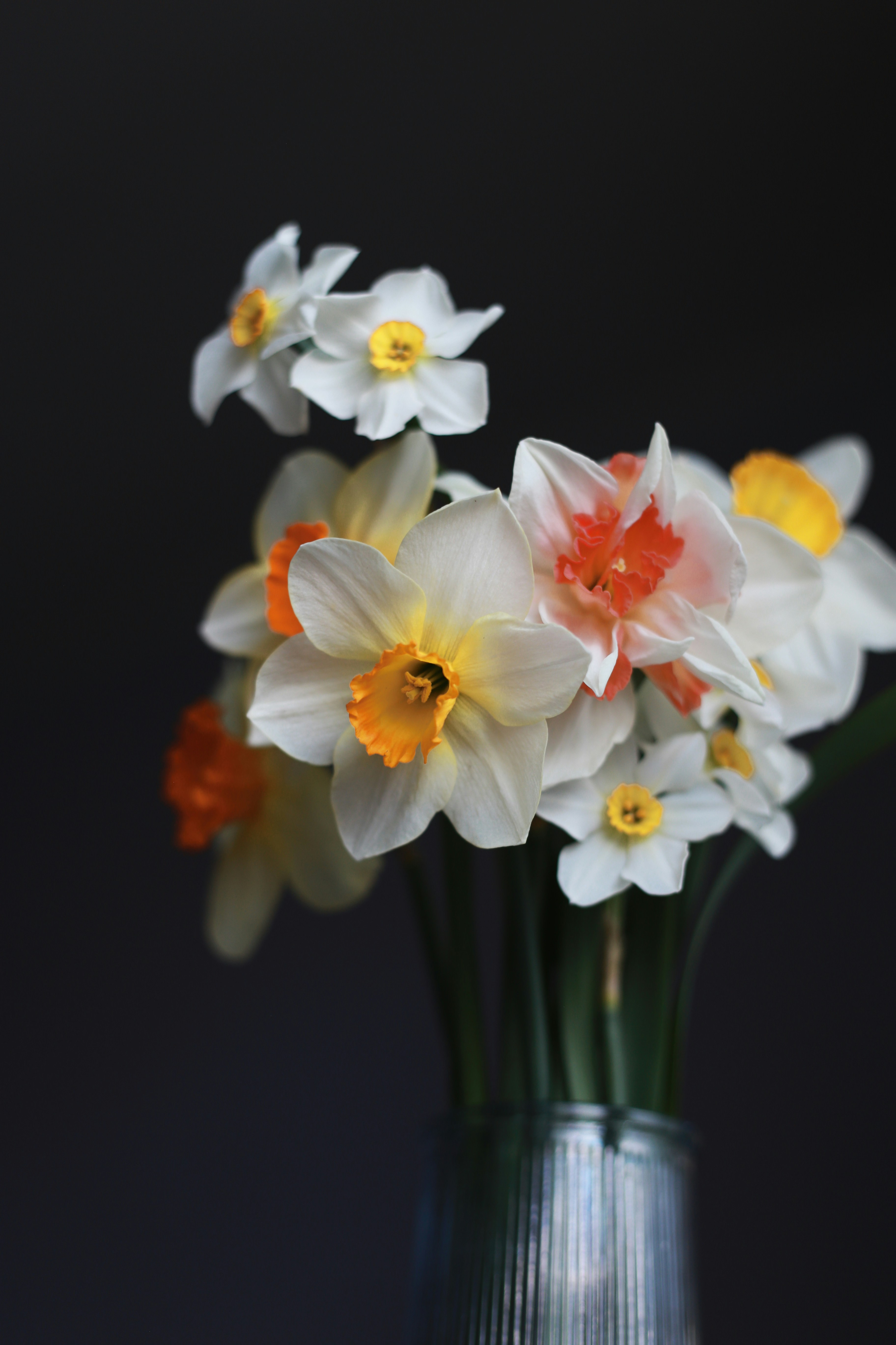 Oksana Avramenko's photo