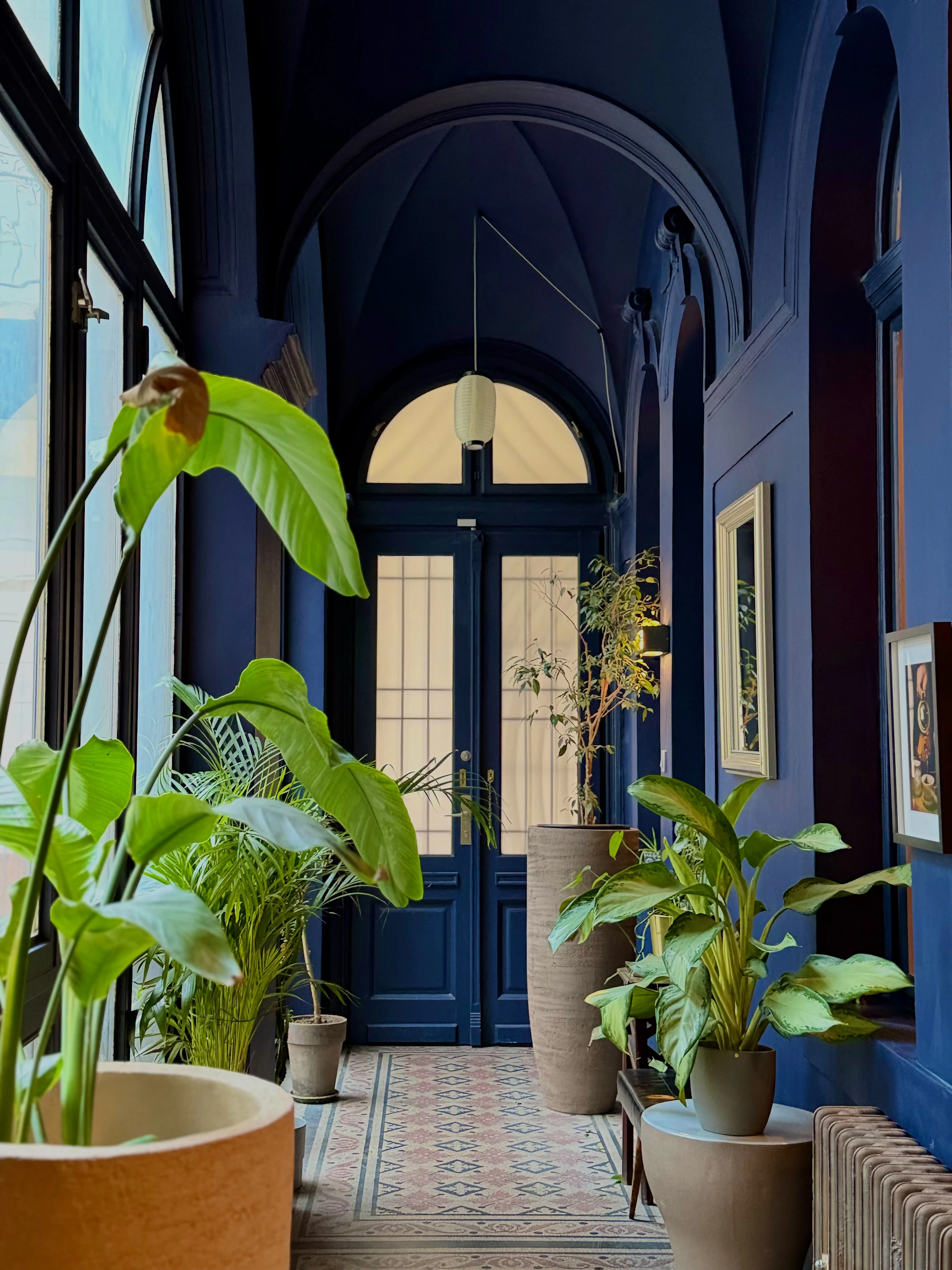 Dark blue hallway with lush green plants and arched doorways.