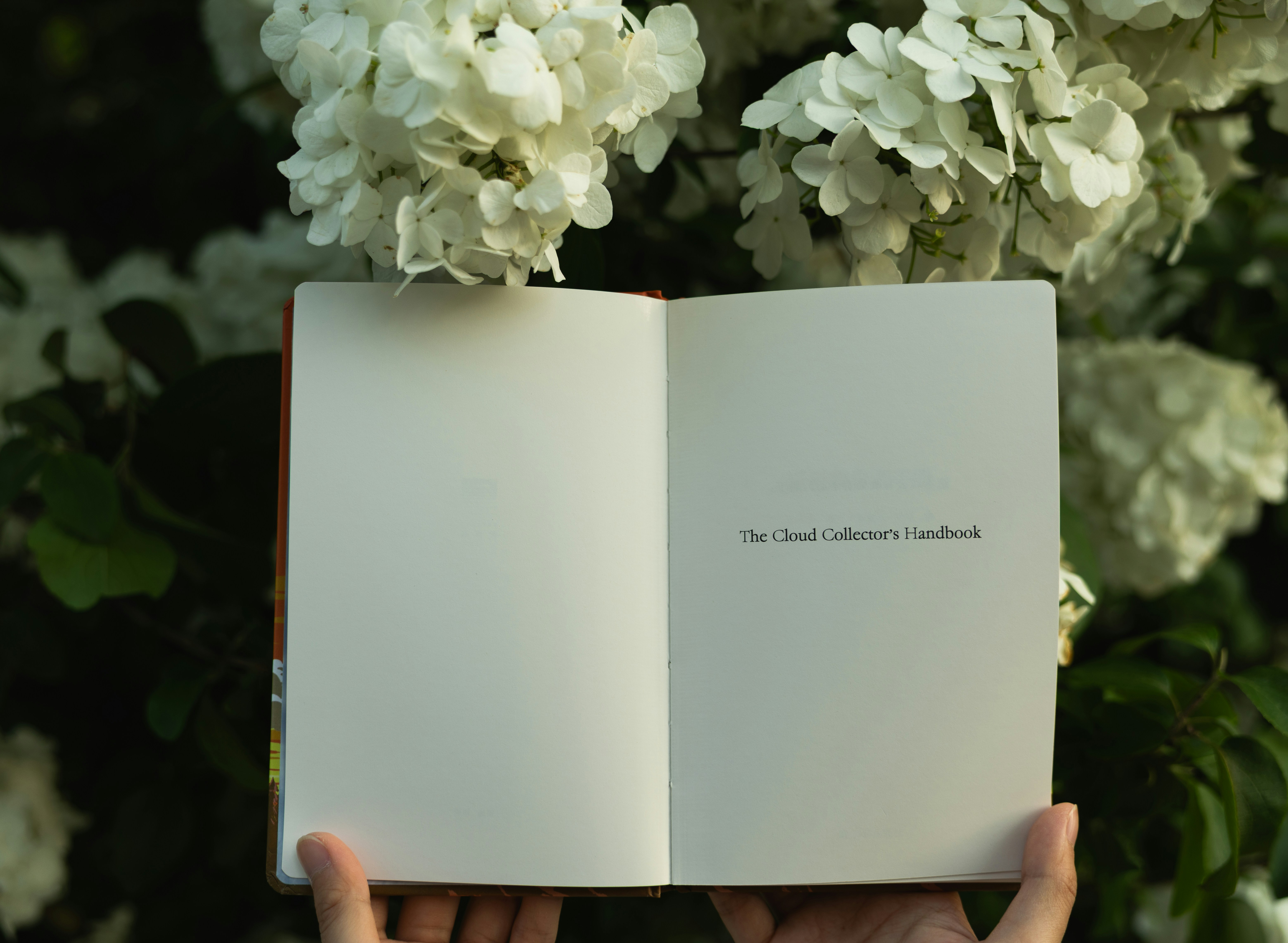 Hands holding open a book with white flowers