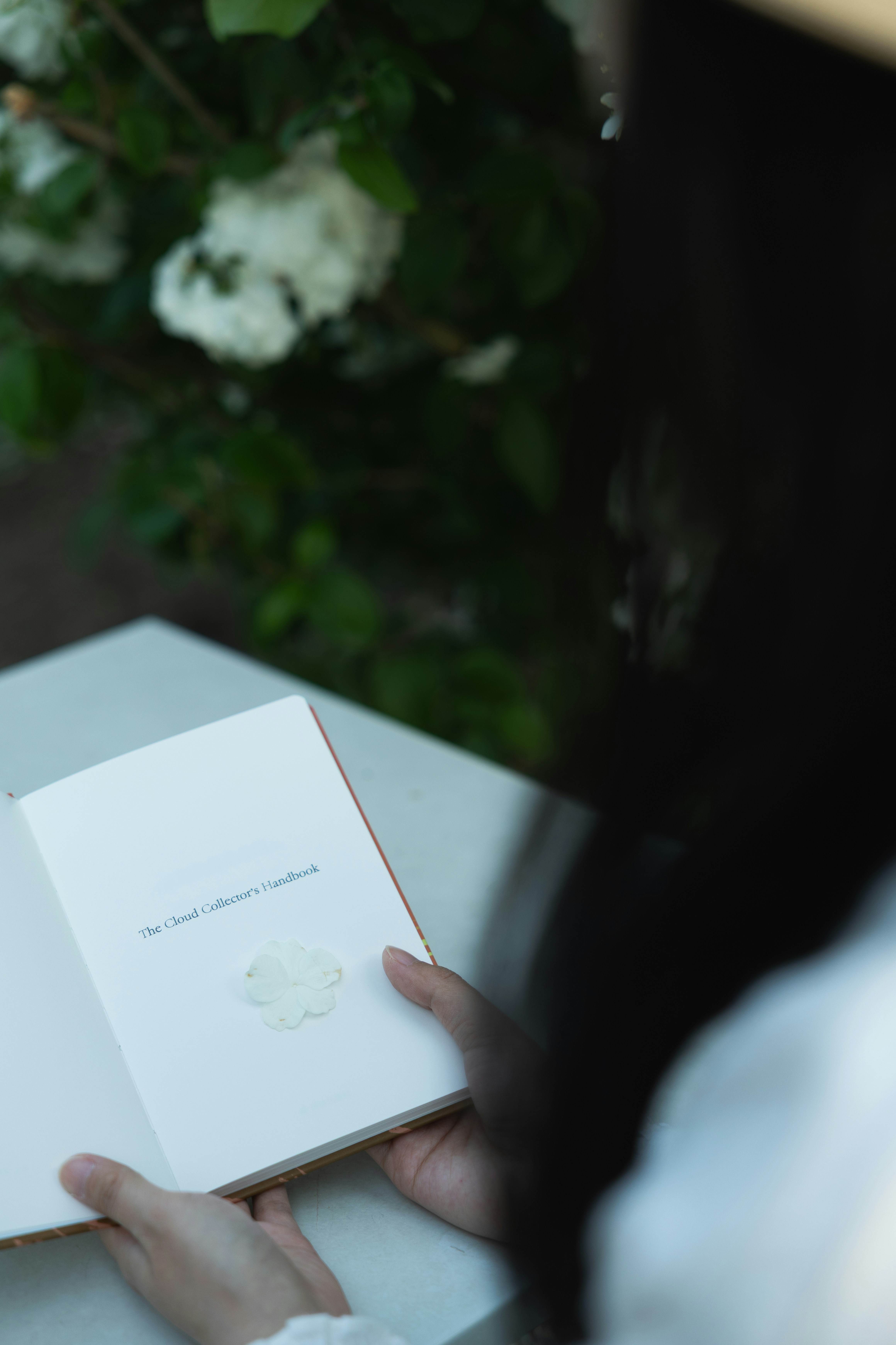 Person reading a book with white flowers in background