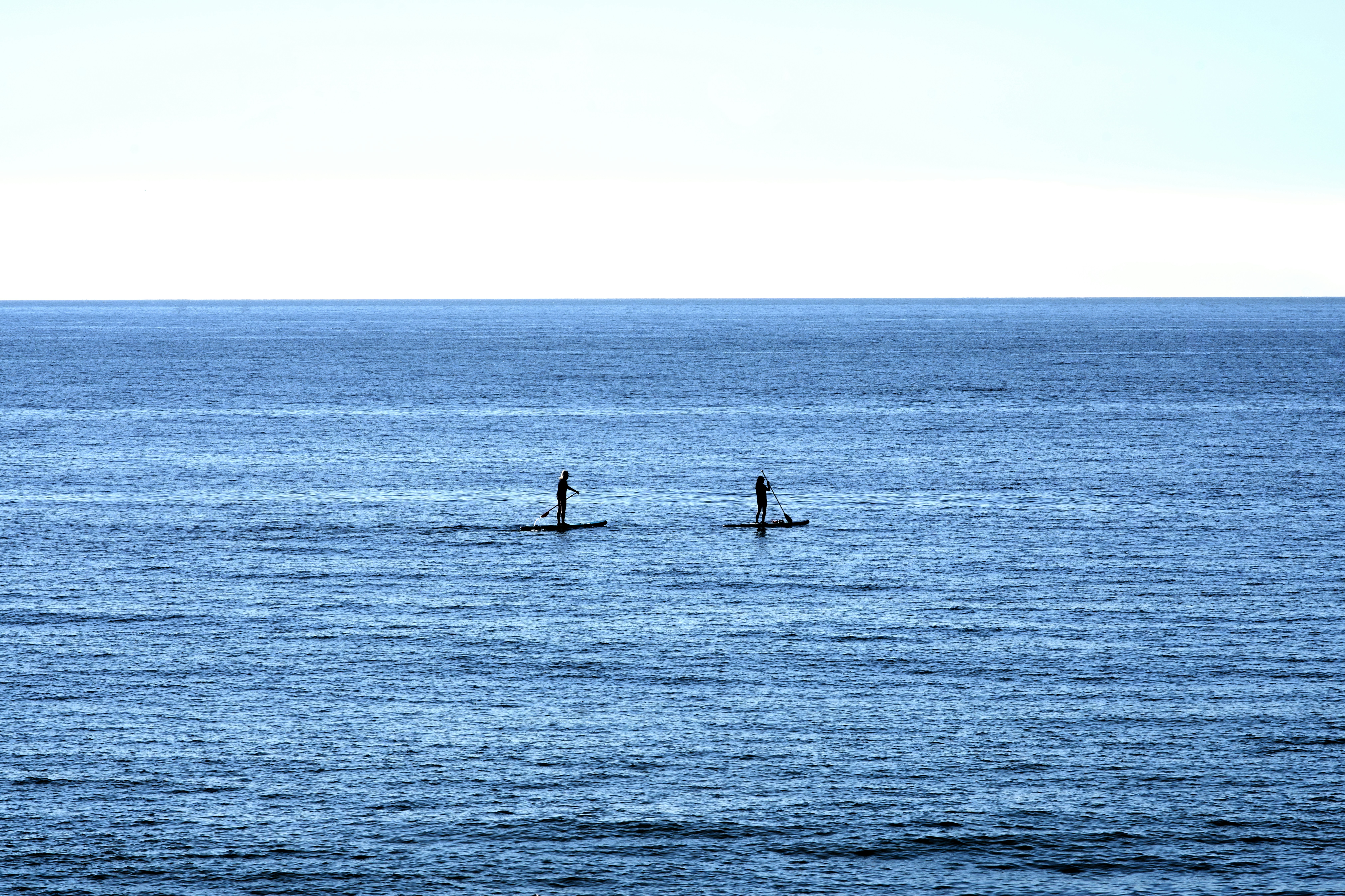 Dos personas practicando paddle surf en un océano azul tranquilo