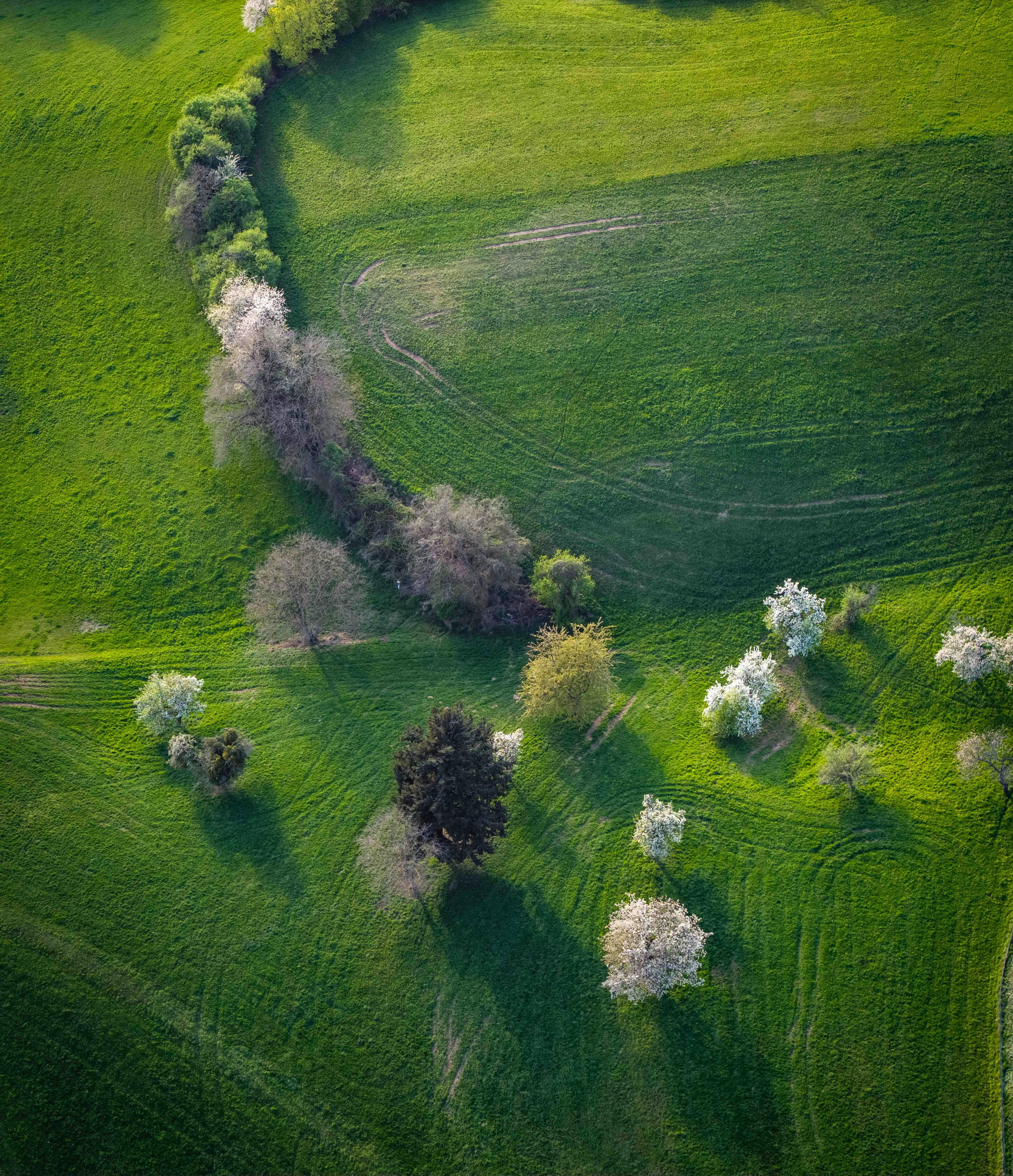 Photo by hdbernd