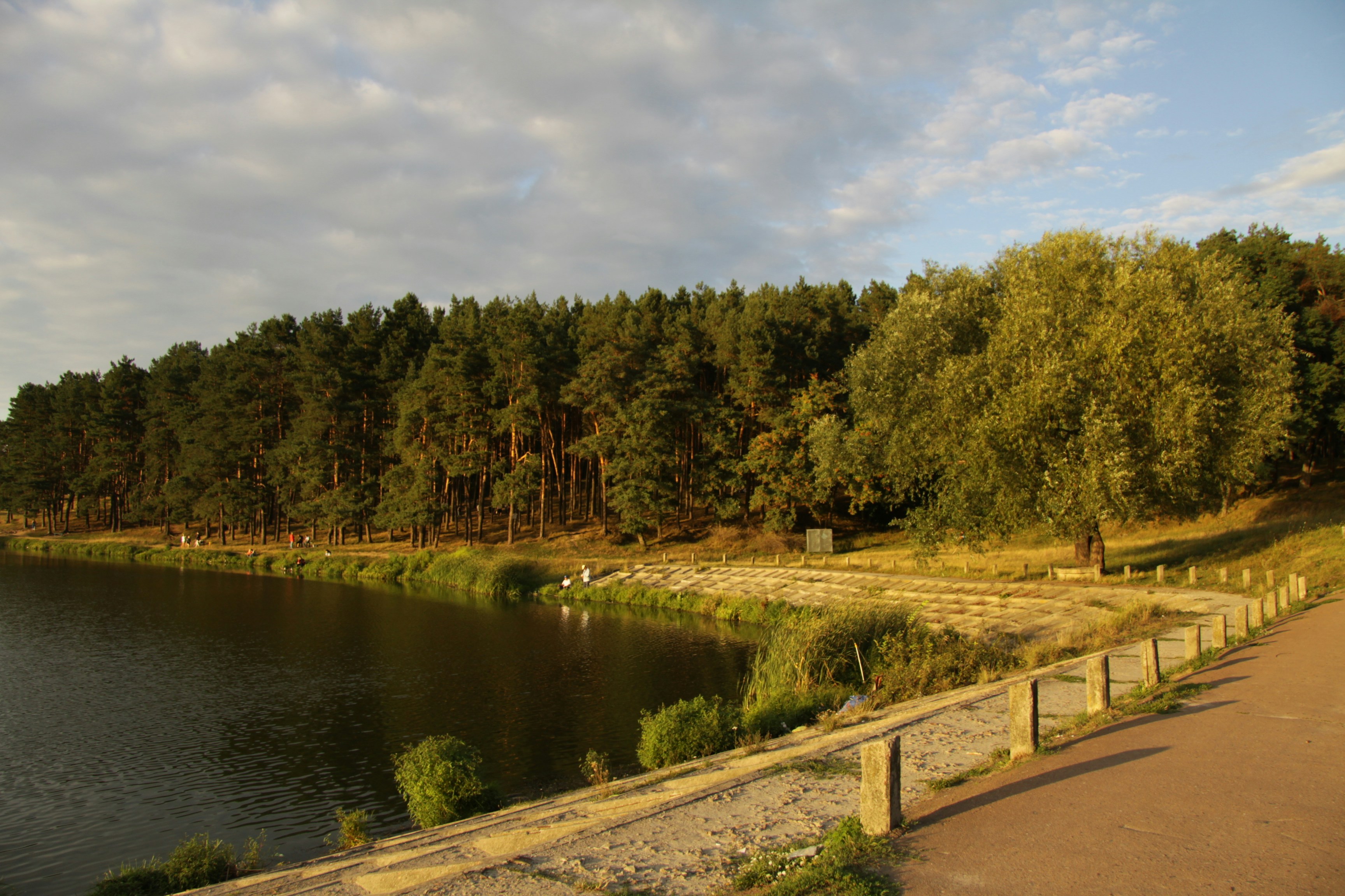 Pienionių dvaro sodybos parkas
