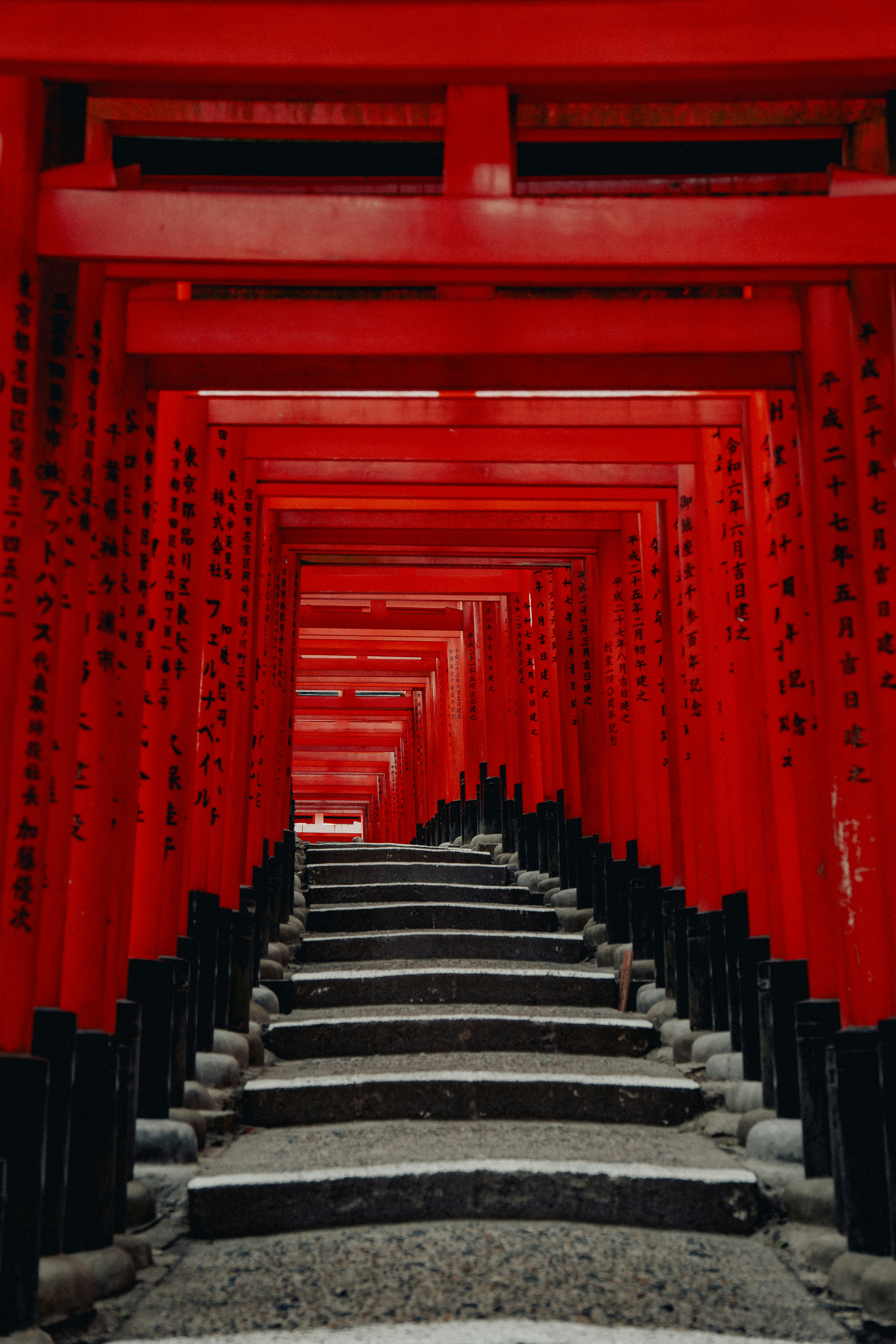 Des portails torii rouges formant un tunnel au-dessus des escaliers.